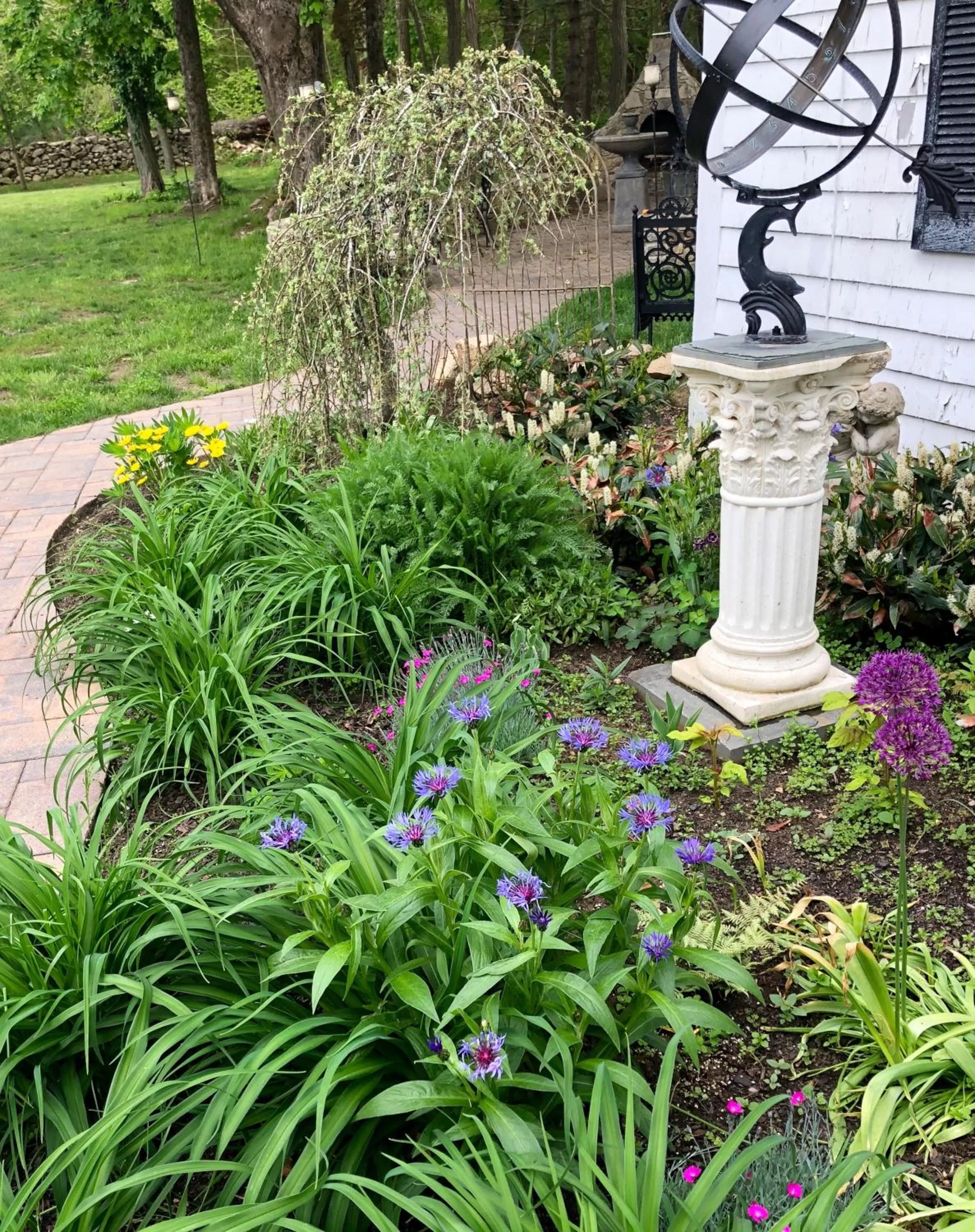 Other, Garden in Silvershell Inn