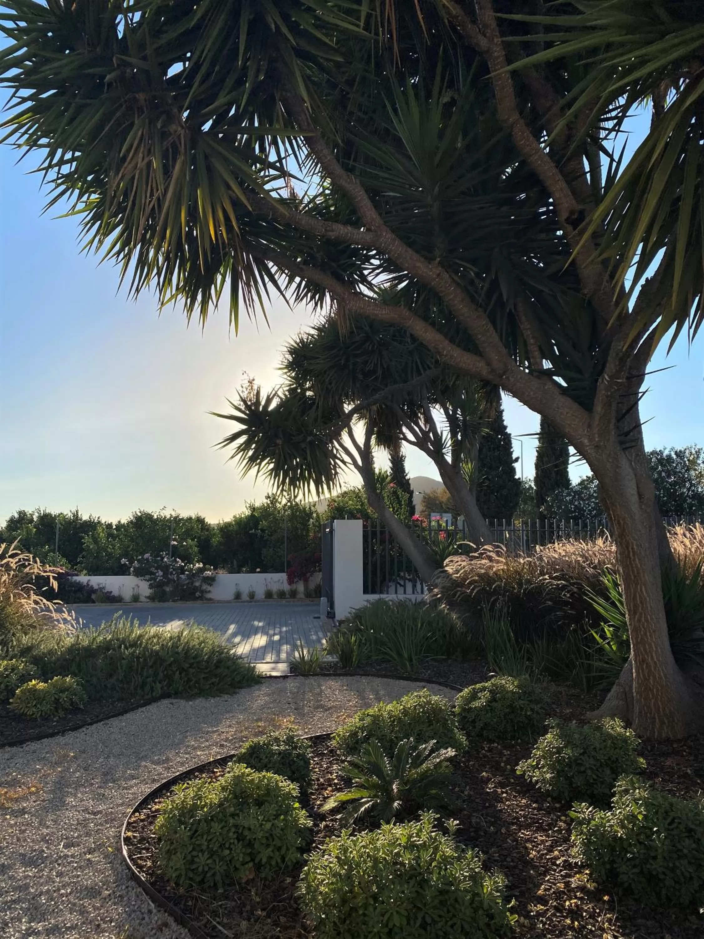 Garden in Vila Milreu Guest House