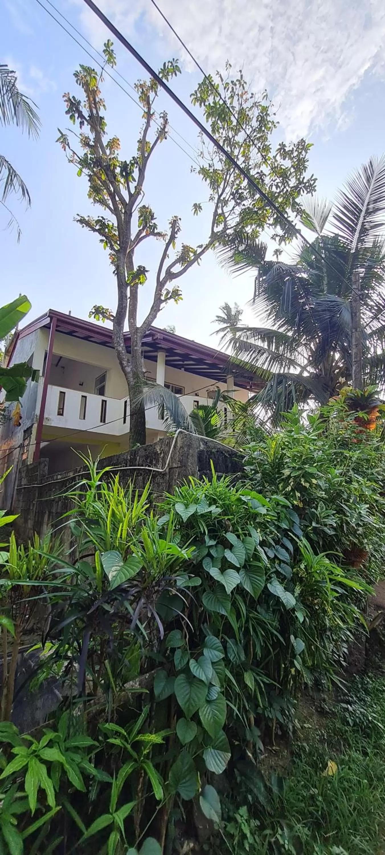 Property building in Wimala B&B