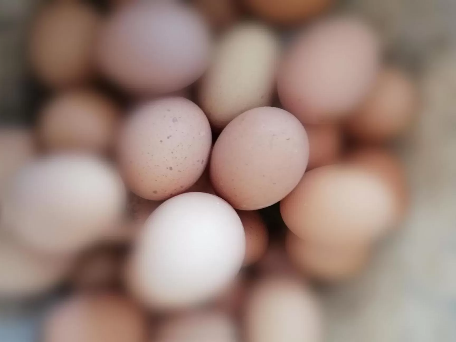 Day in Villa Nora Hvar