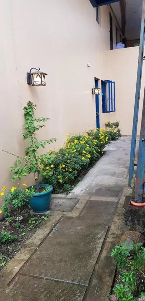 The Half House by Elmar Cabin