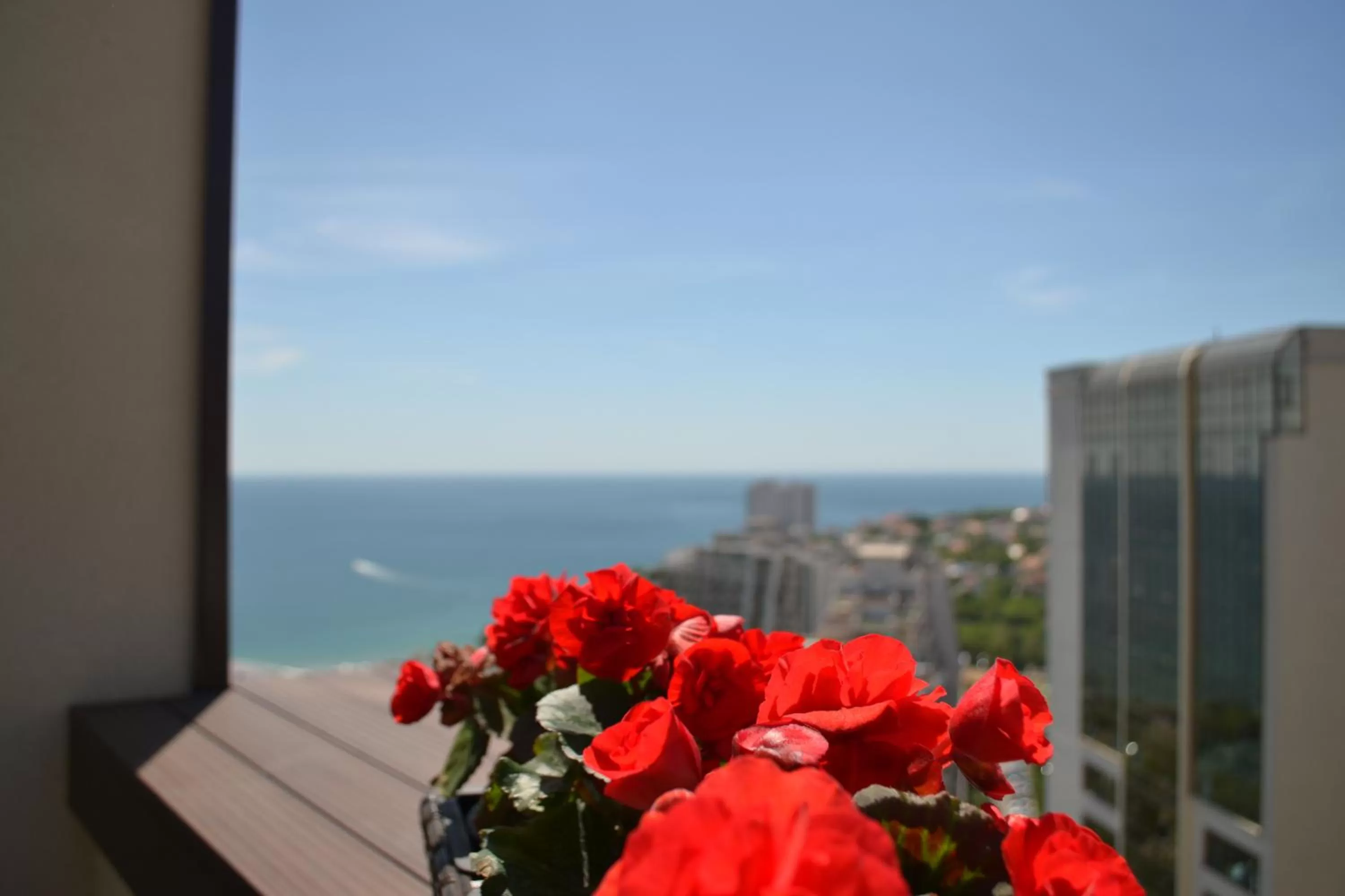 City view in Horizon Hotel