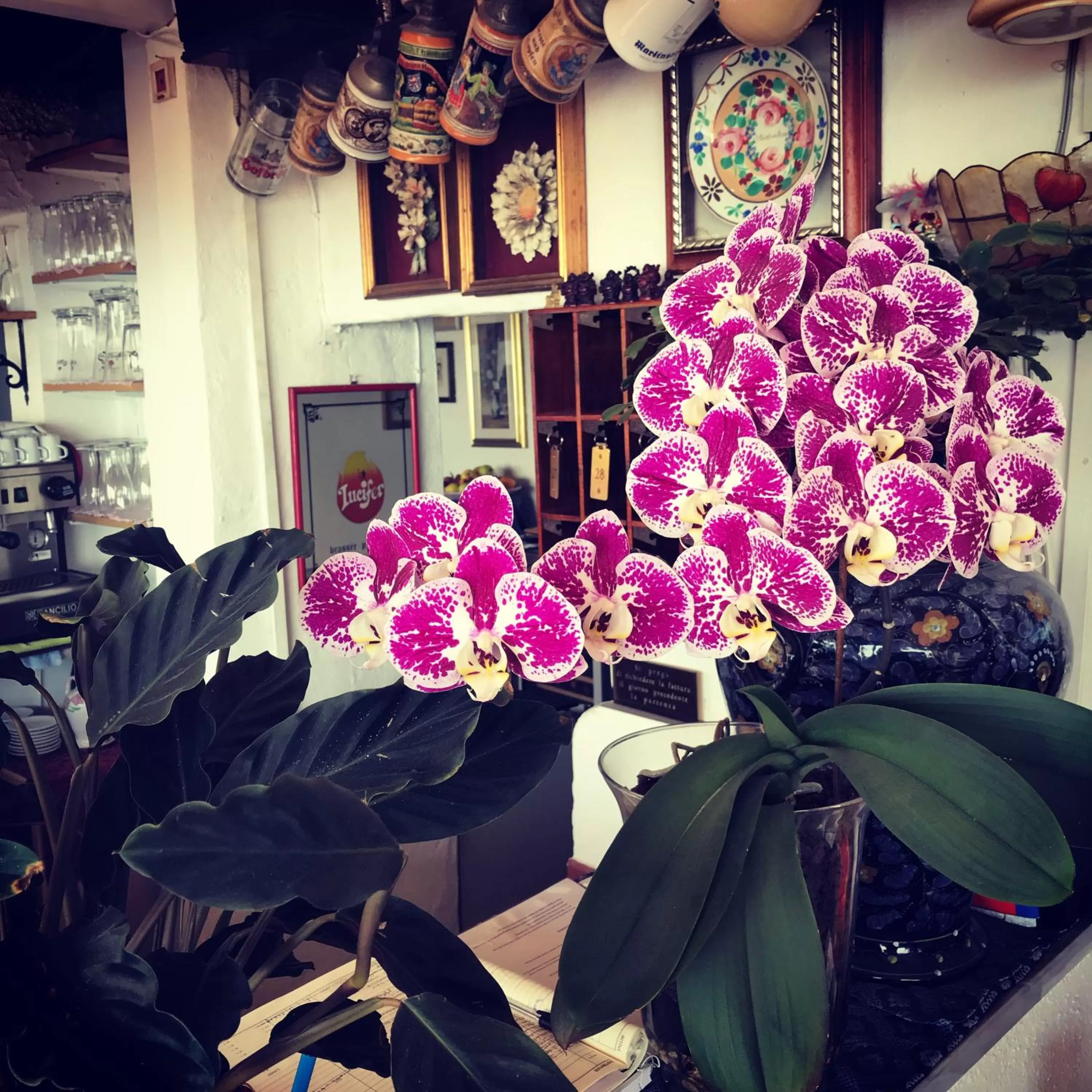 Restaurant/places to eat in Villa Greta Hotel Rooms & Suites