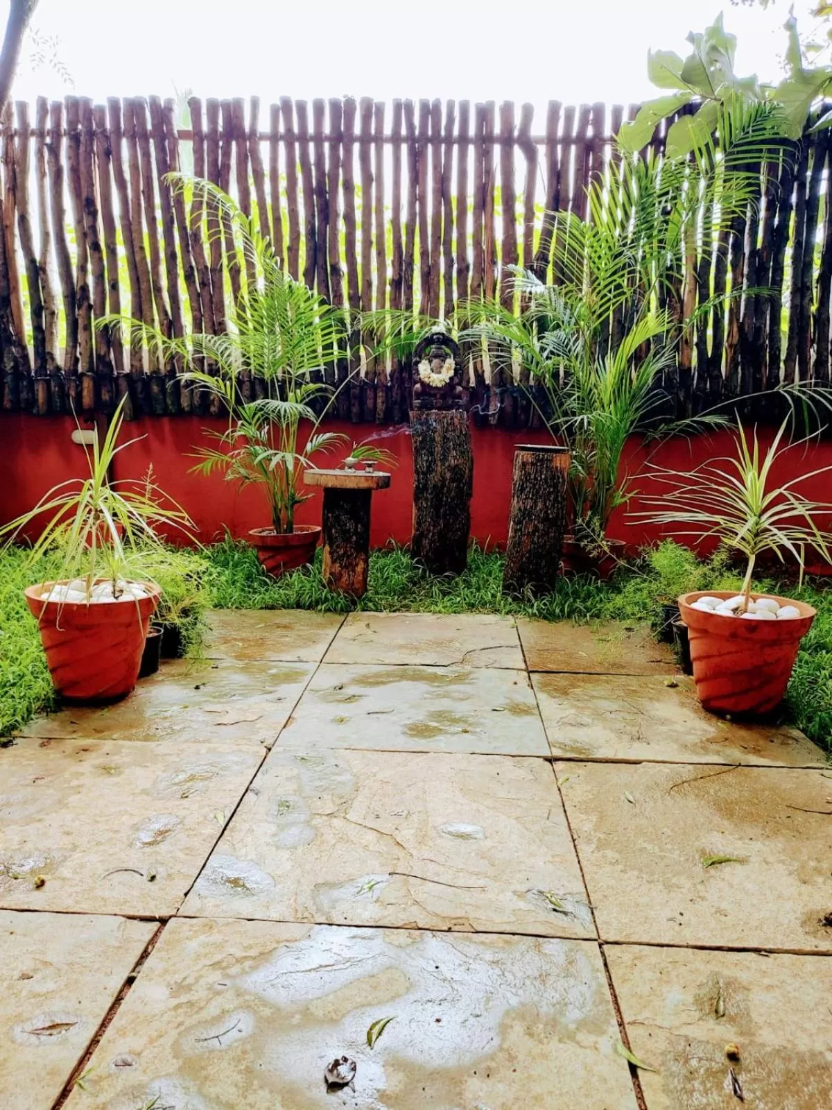 People in SAFARI QUEST