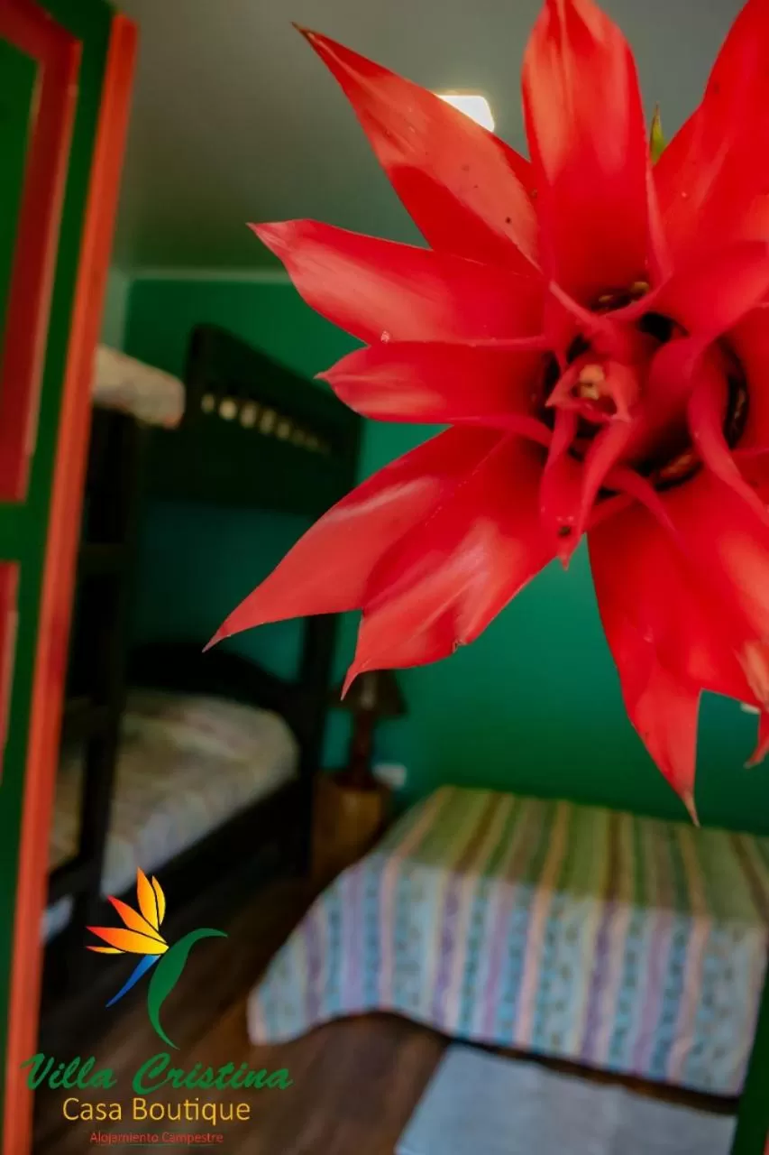 Photo of the whole room, Bed in Villa Cristina - Casa Boutique