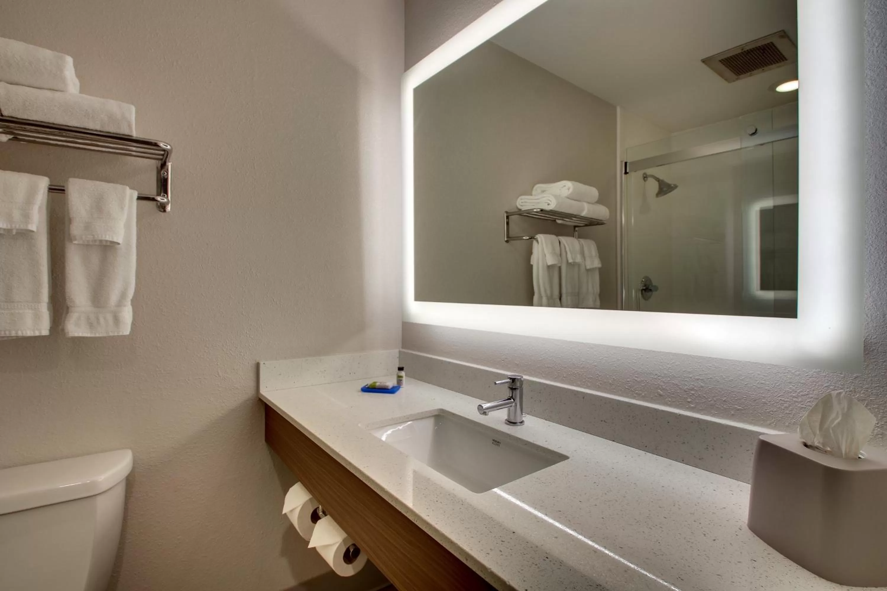 Bathroom in Holiday Inn Express Georgetown by IHG