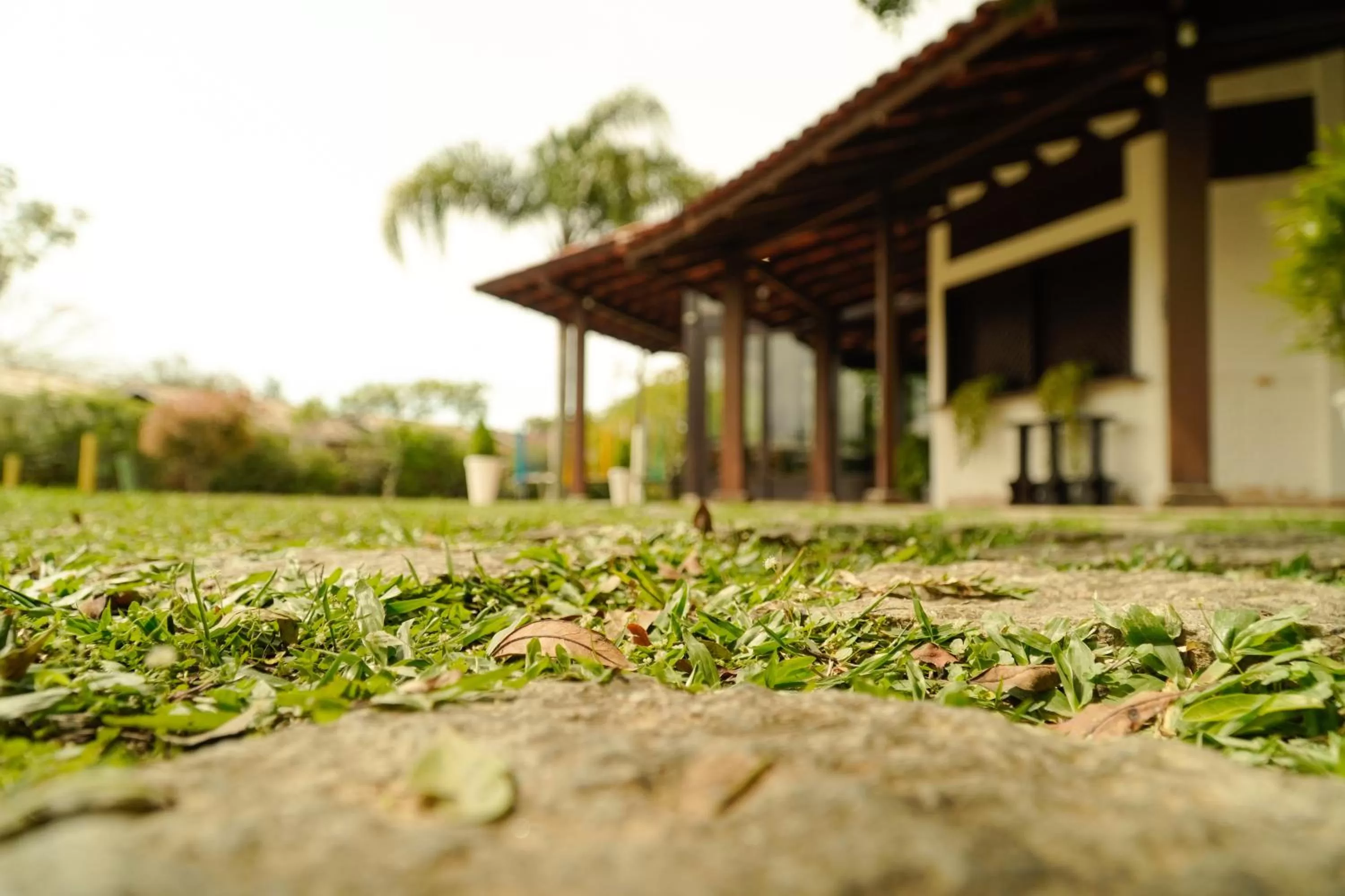 Garden in Pousada Dunasol Floripa