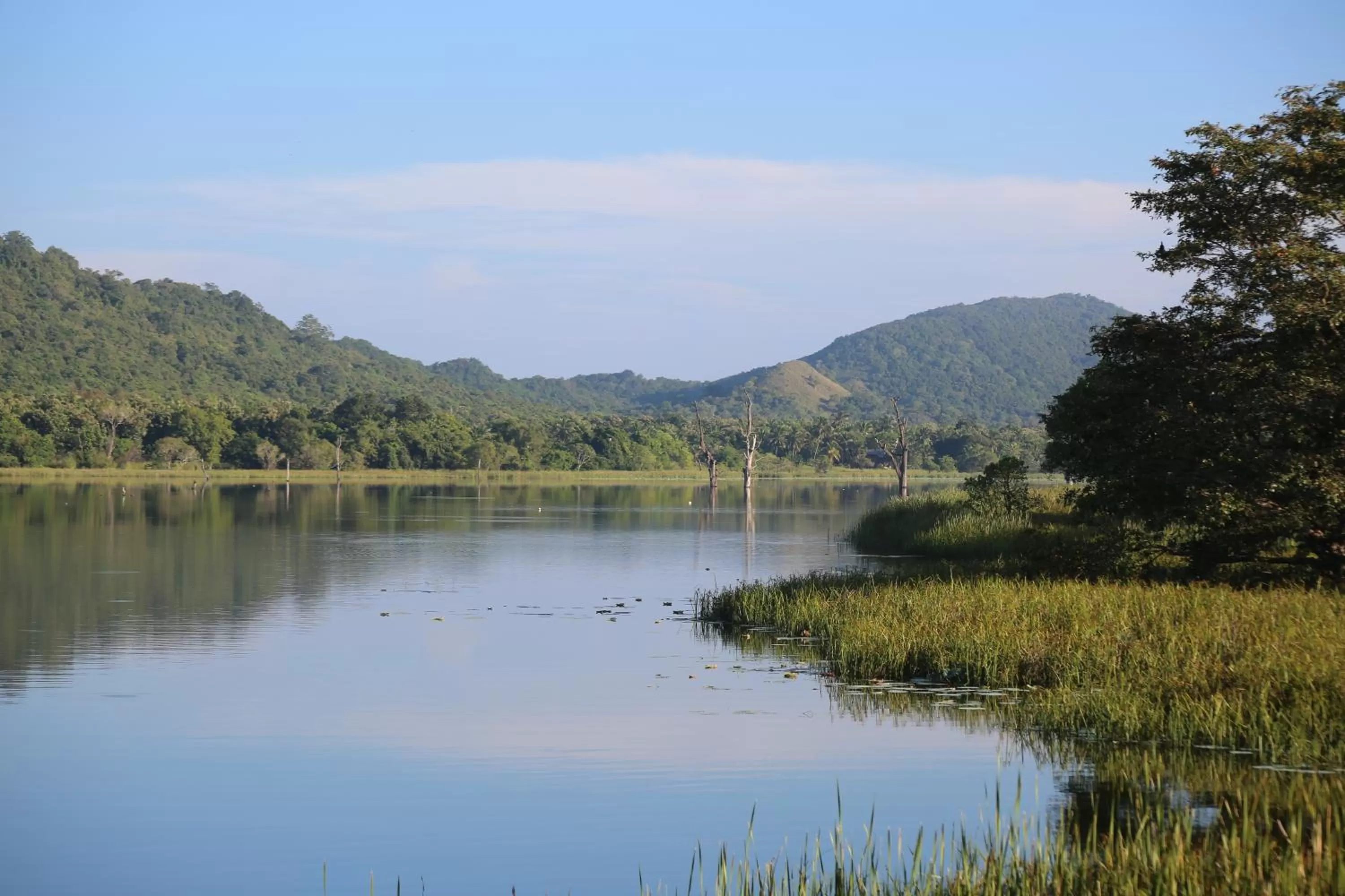 Lake view in Lake Bliss