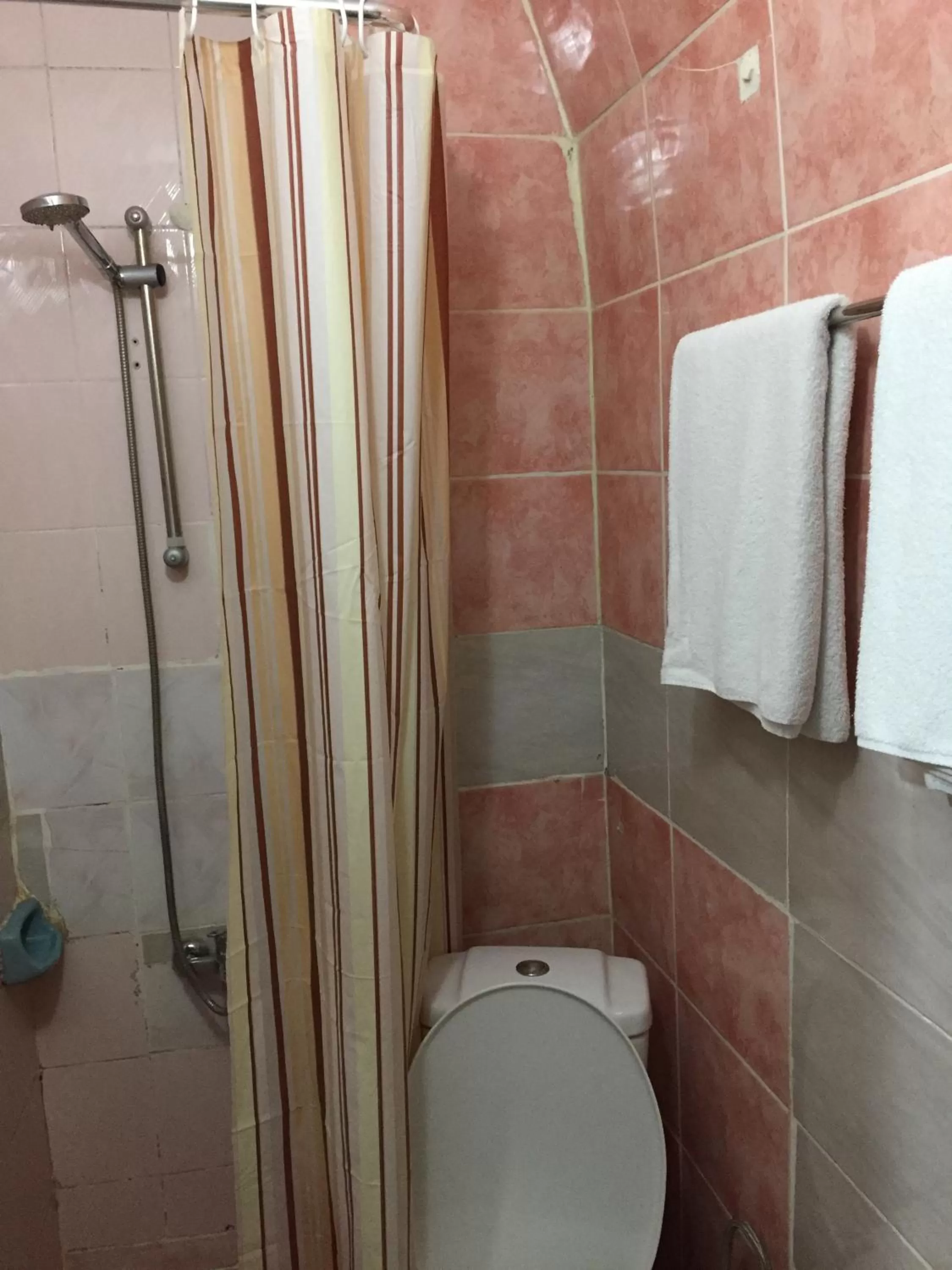 Shower in Paris Hotel