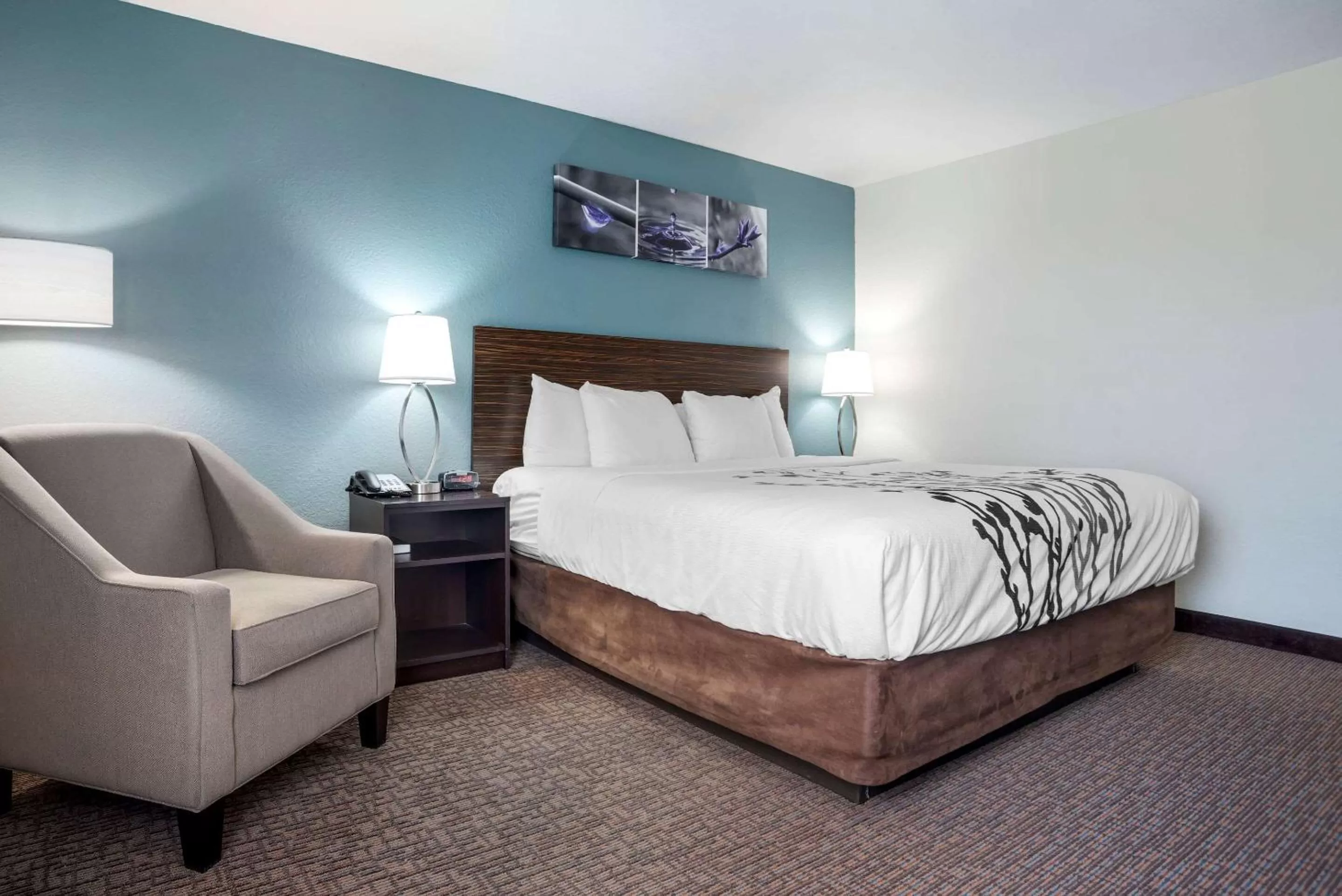 King Room with Hearing Accessible - Accessible/Non-Smoking in Sleep Inn & Suites Auburn Campus Area I-85
