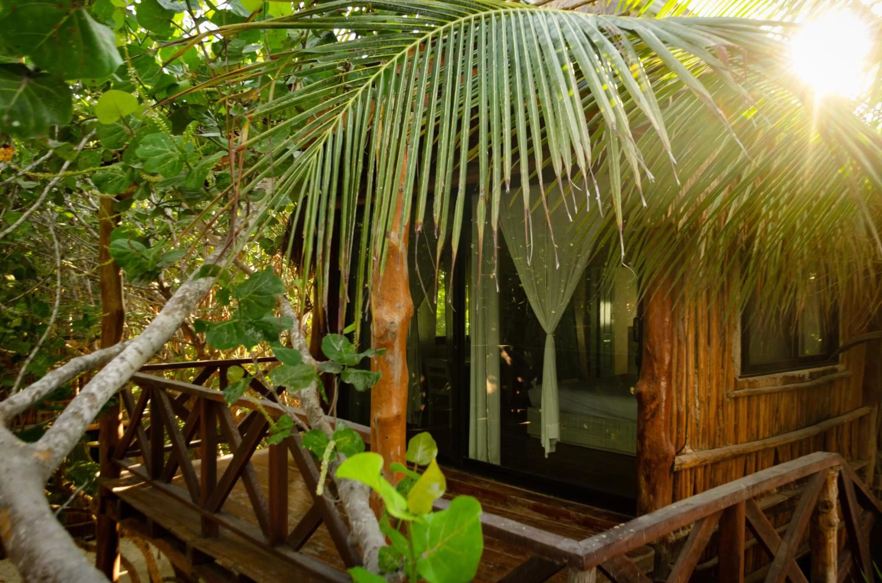 Balcony/Terrace in Hotelito Azul