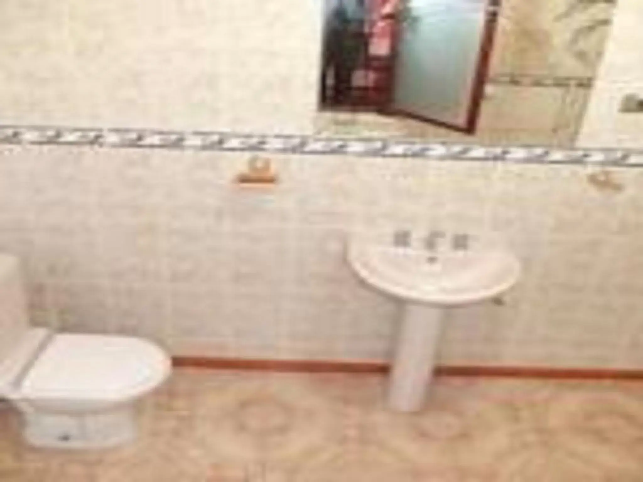 Single Room in Apart Hotel Turquesa Single Room in Apart Hotel Turquesa