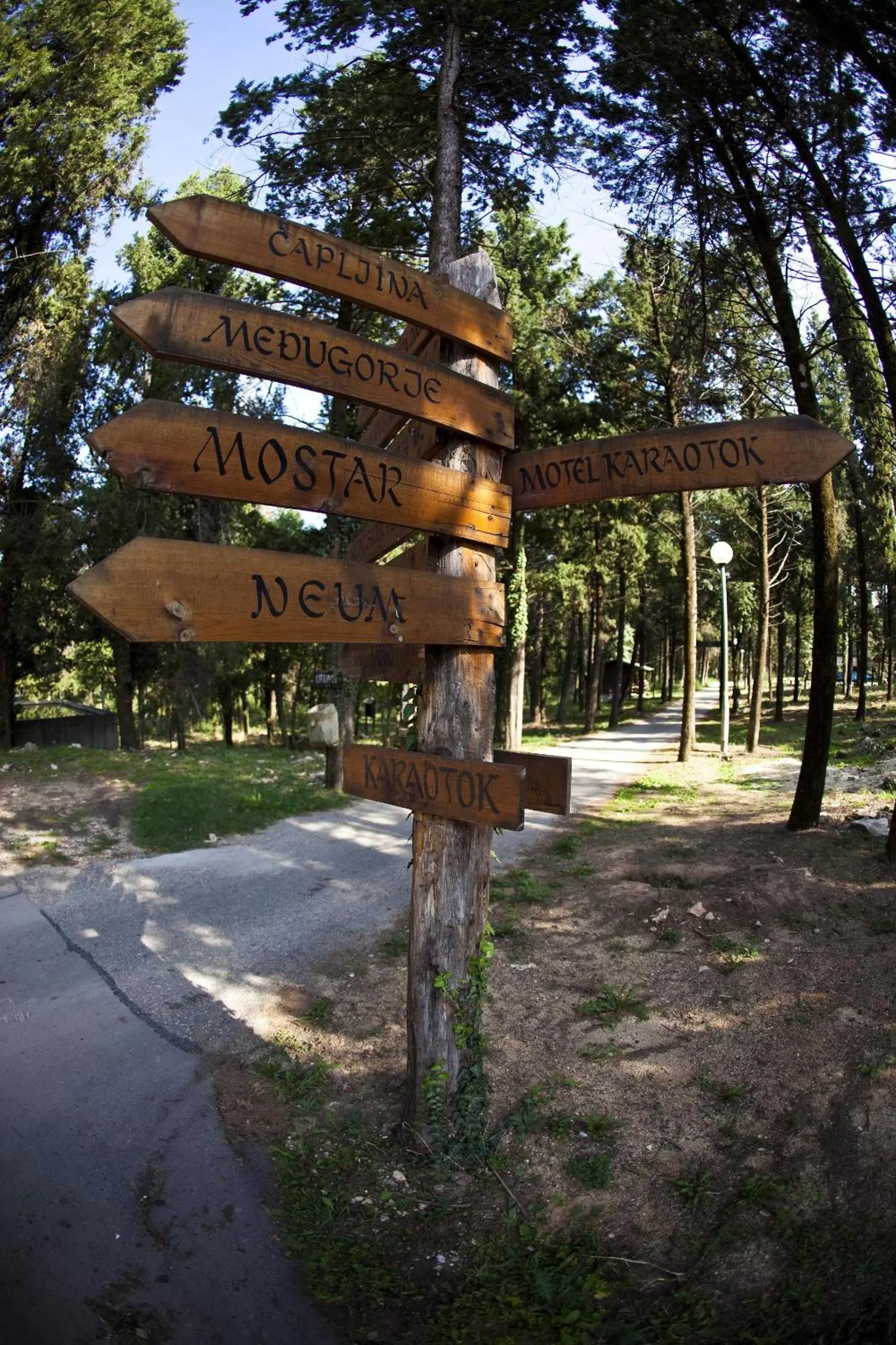 Area and facilities in Hotel Park