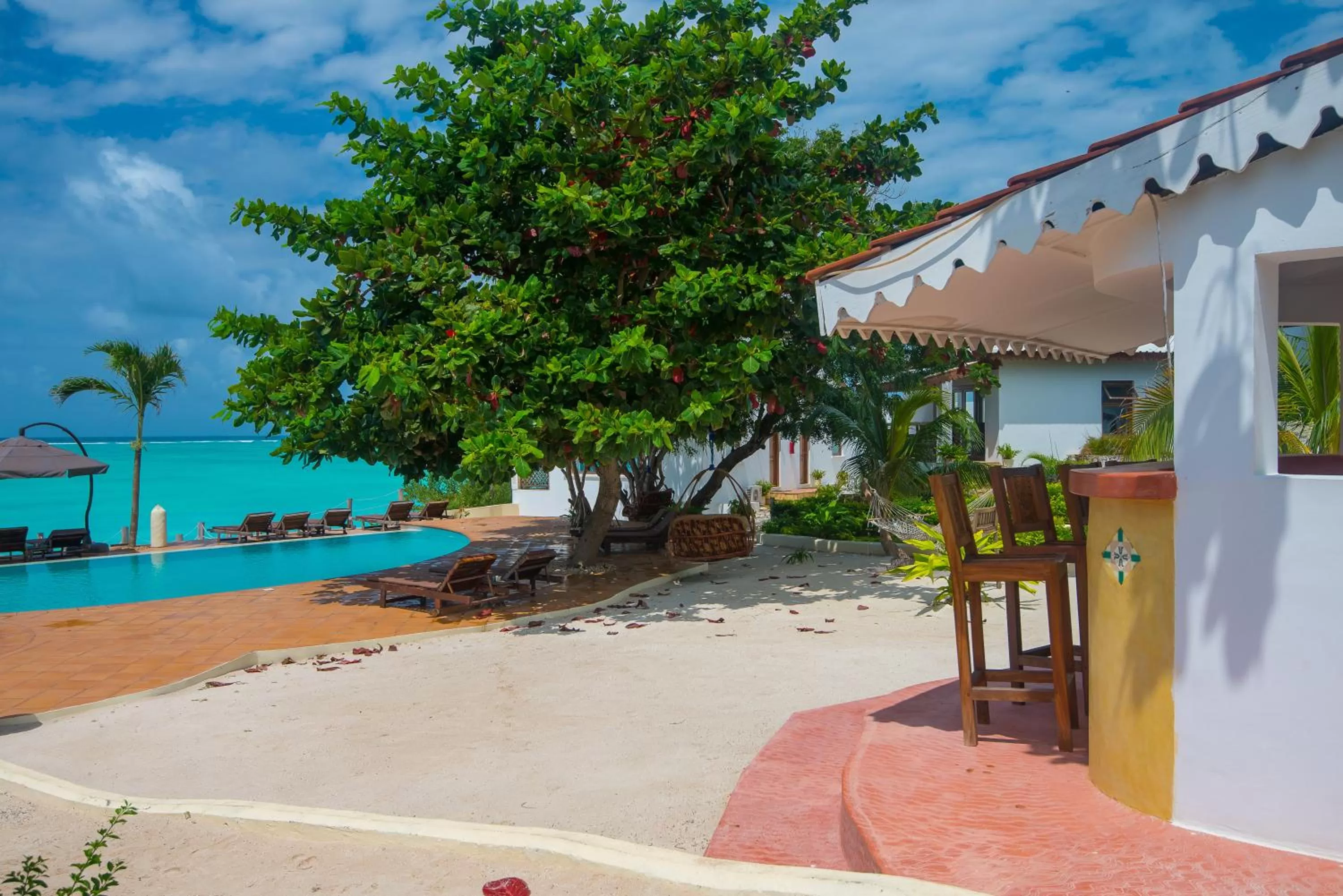 Garden in Warere Beach