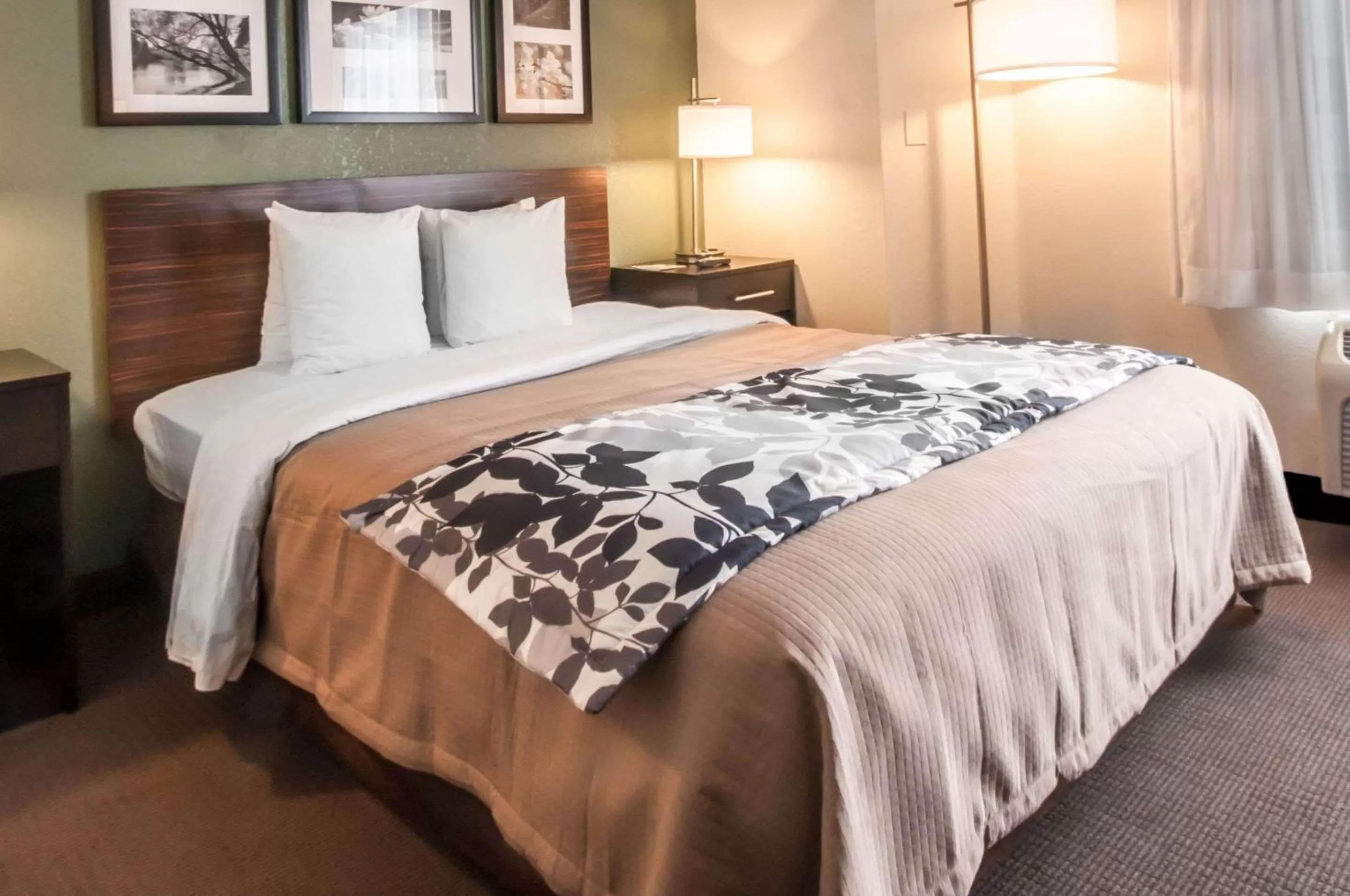 Photo of the whole room, Bed in Sleep Inn Cinnaminson - Philadelphia East