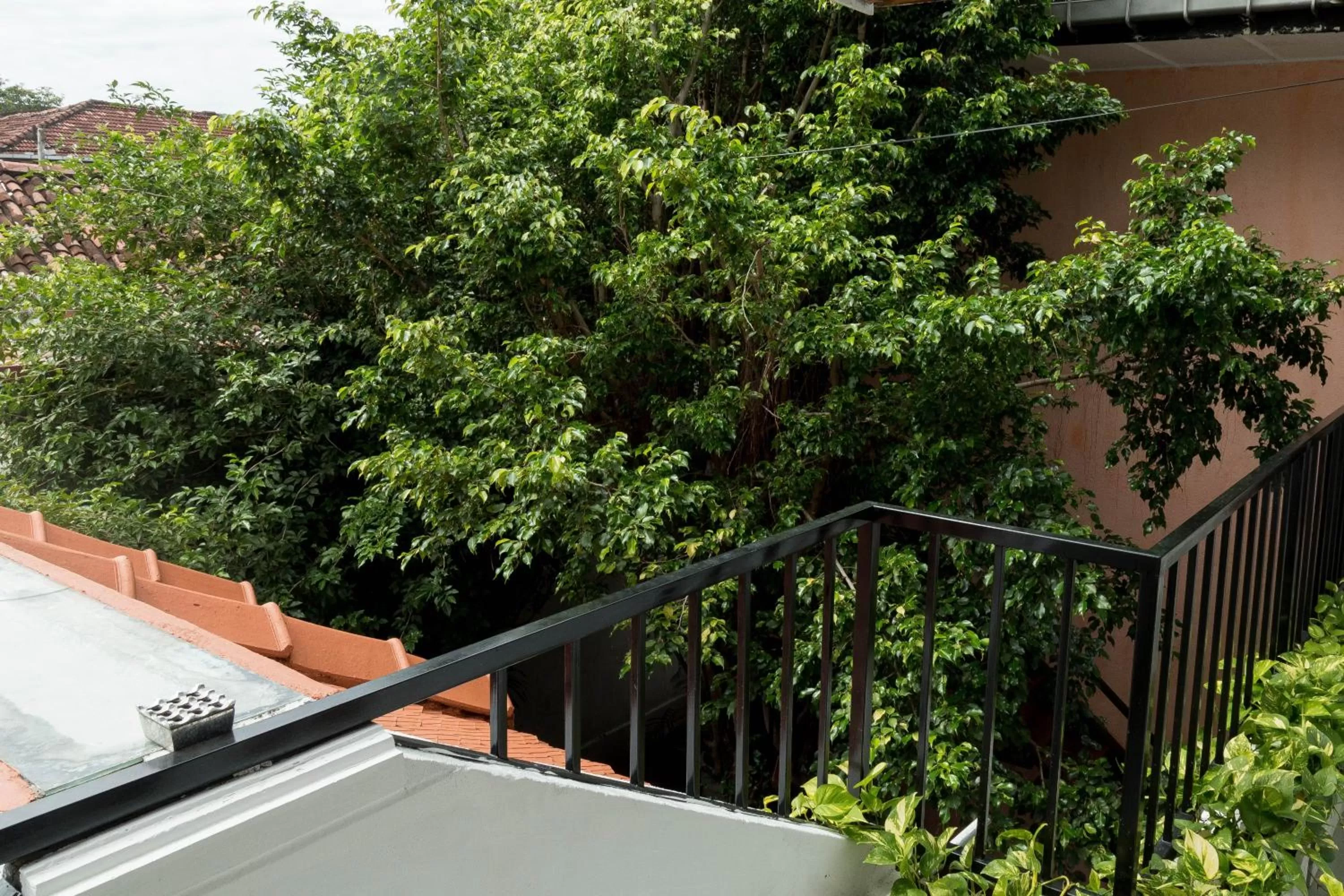 Balcony/Terrace in Srilax