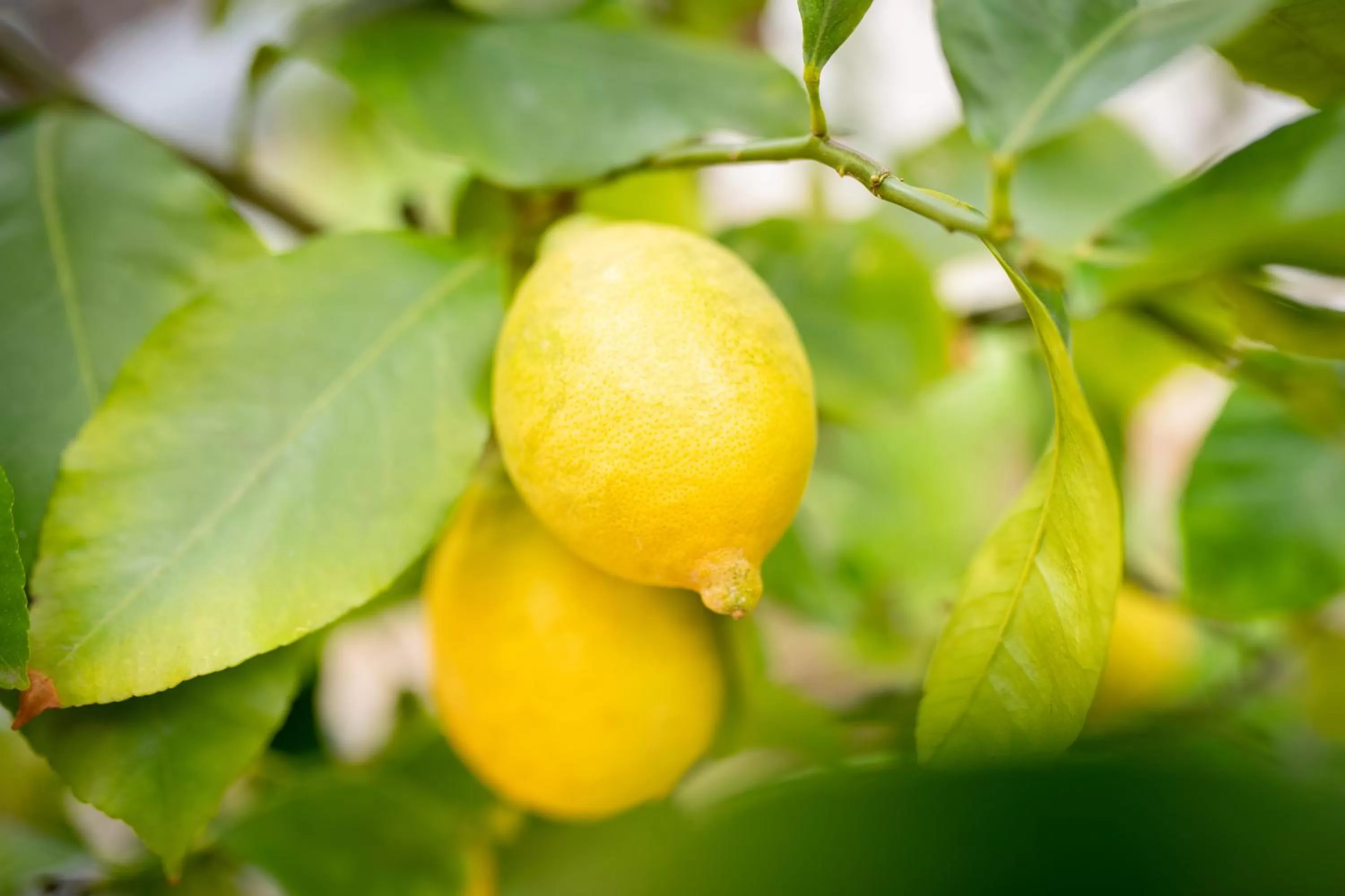 Property building in Hotel Asterra