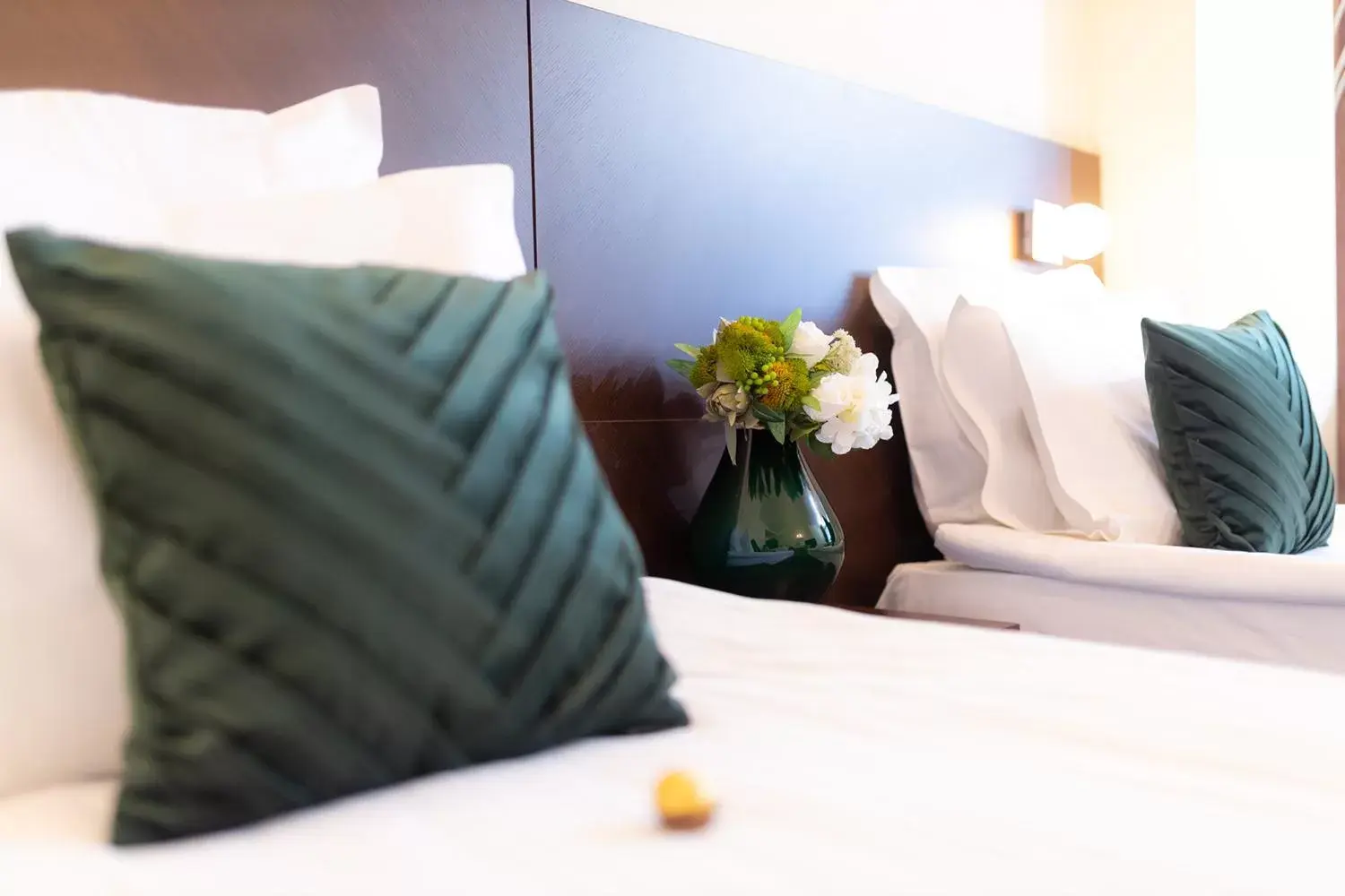 Deluxe Twin Room in Hotel Terra Balneo Deluxe Twin Room in Hotel Terra Balneo