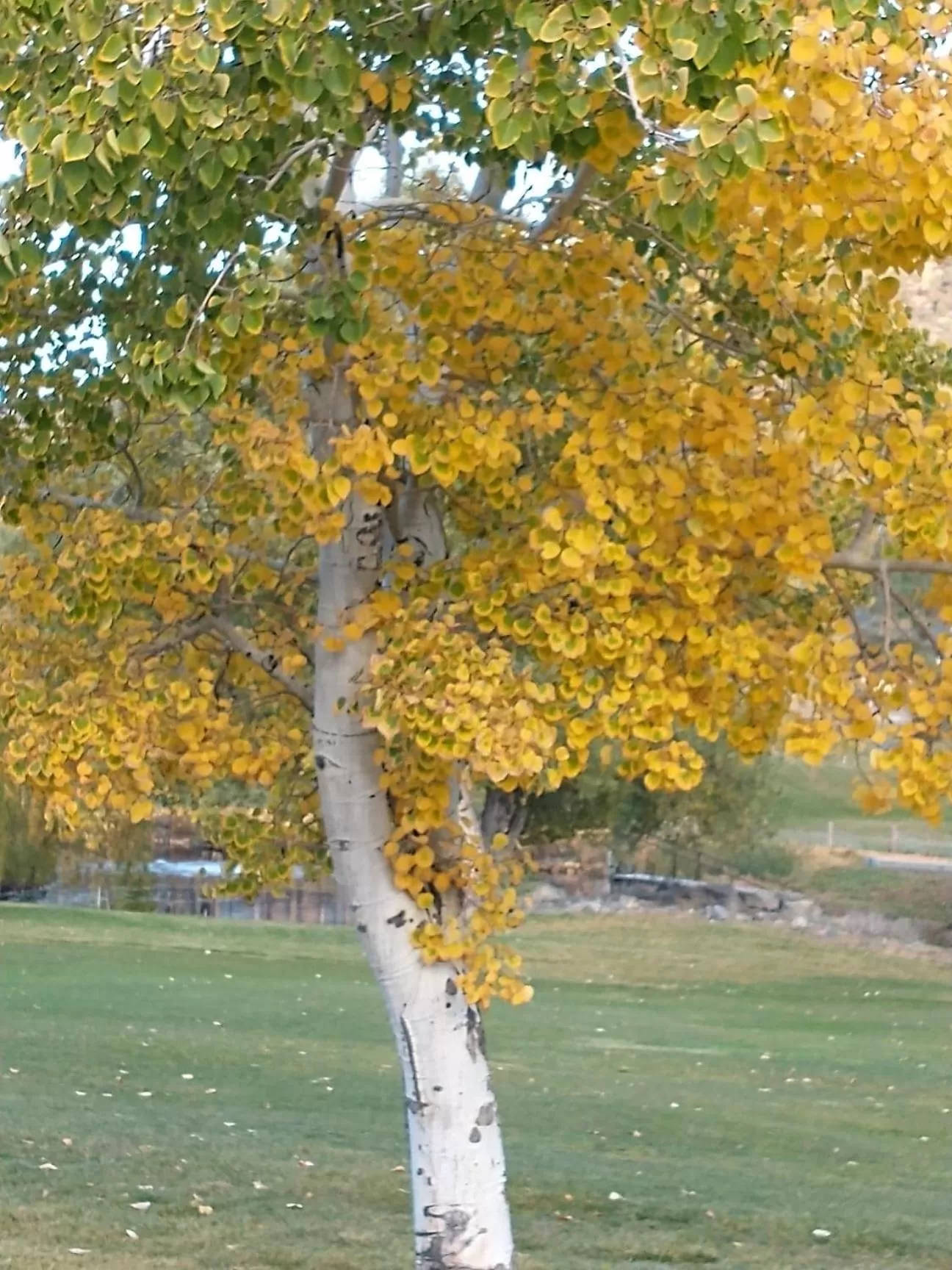 Natural landscape in The Old Bear BnB