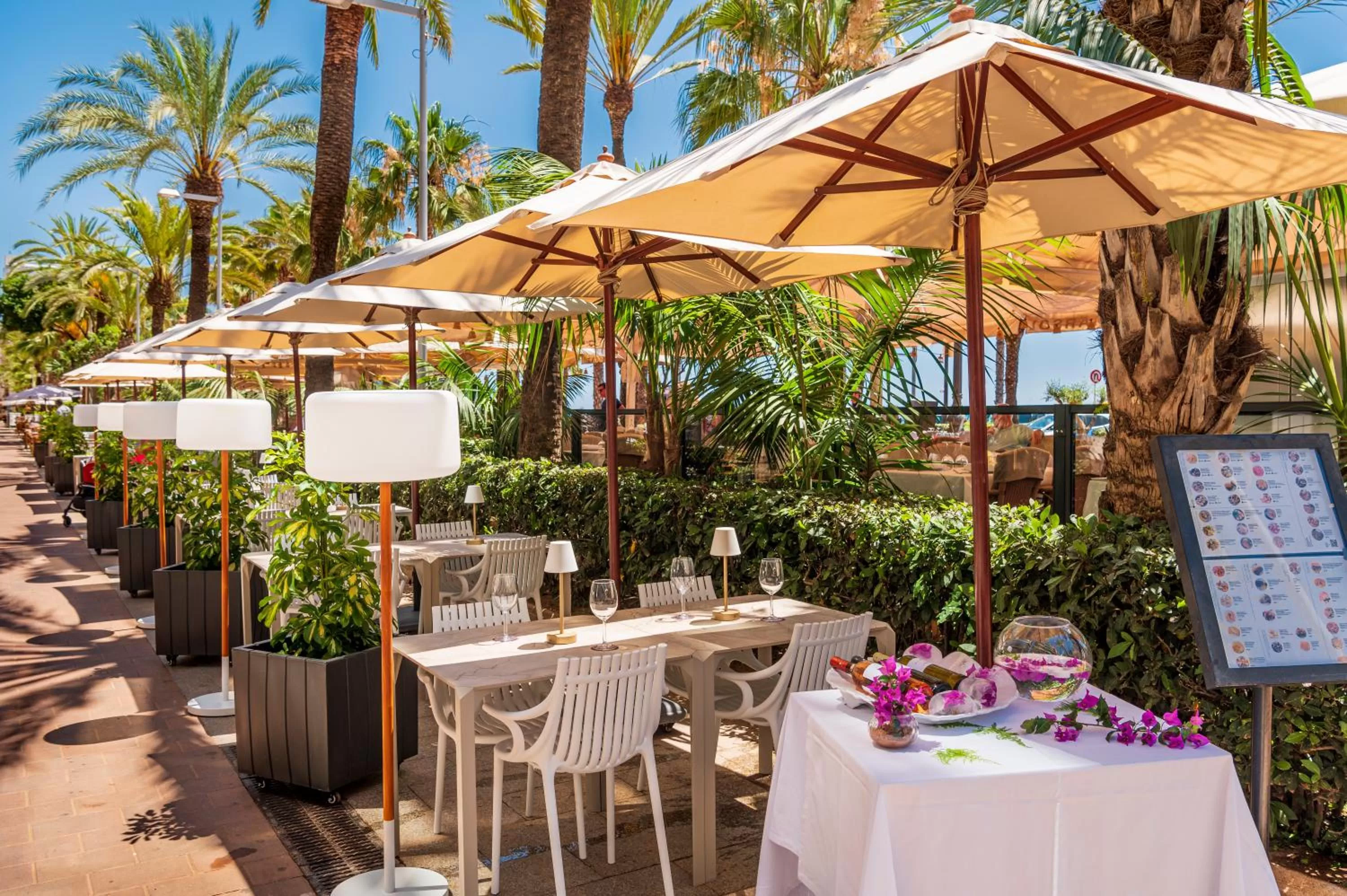 Restaurant/places to eat in Hotel Marsol