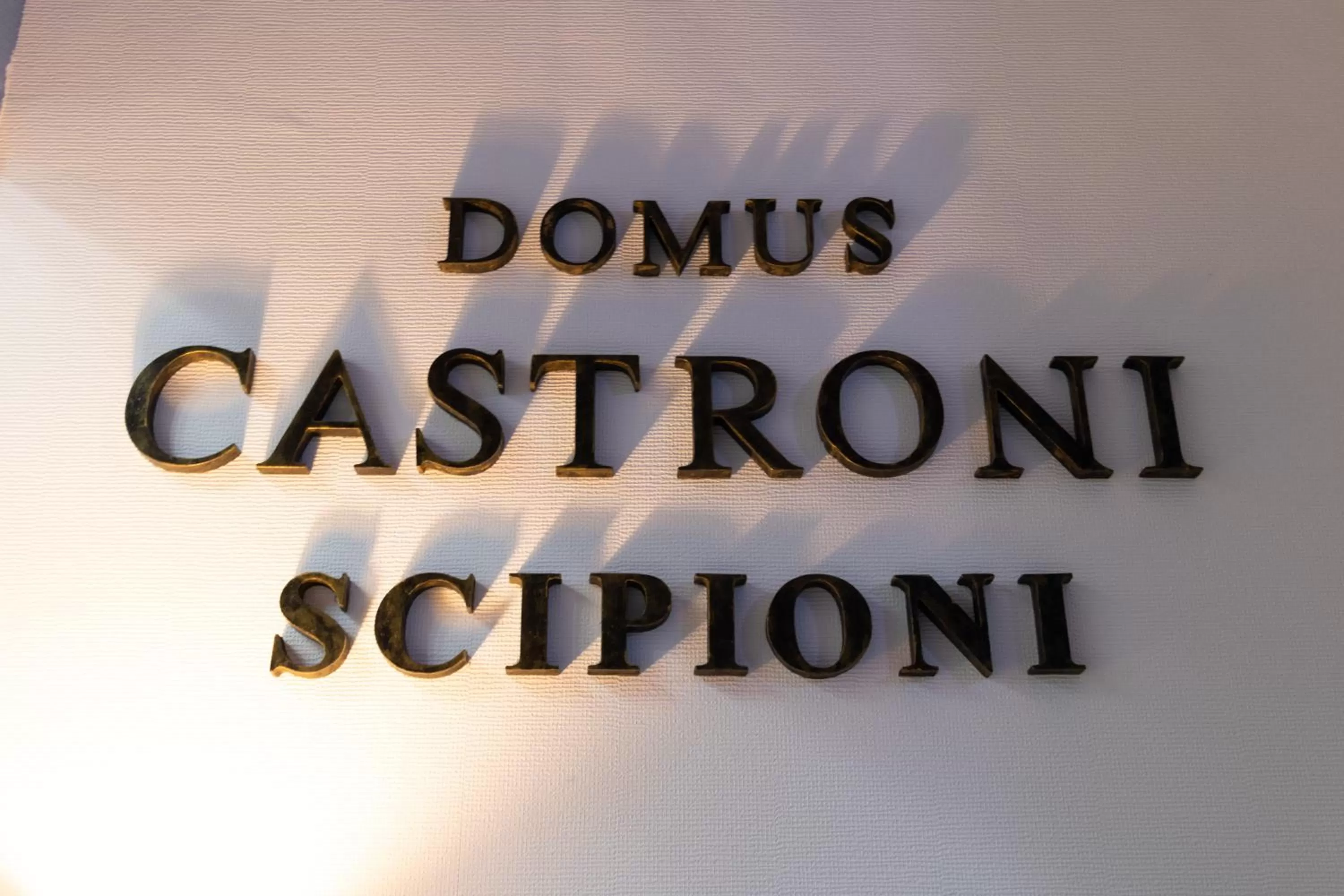 Logo/Certificate/Sign in Domus Castroni Scipioni