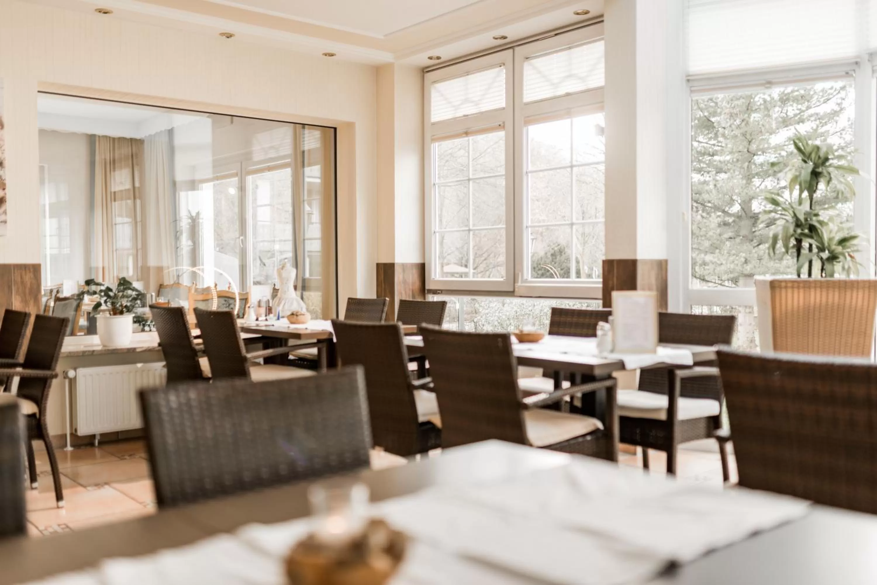 Restaurant/places to eat in Parkhotel Weber-Müller