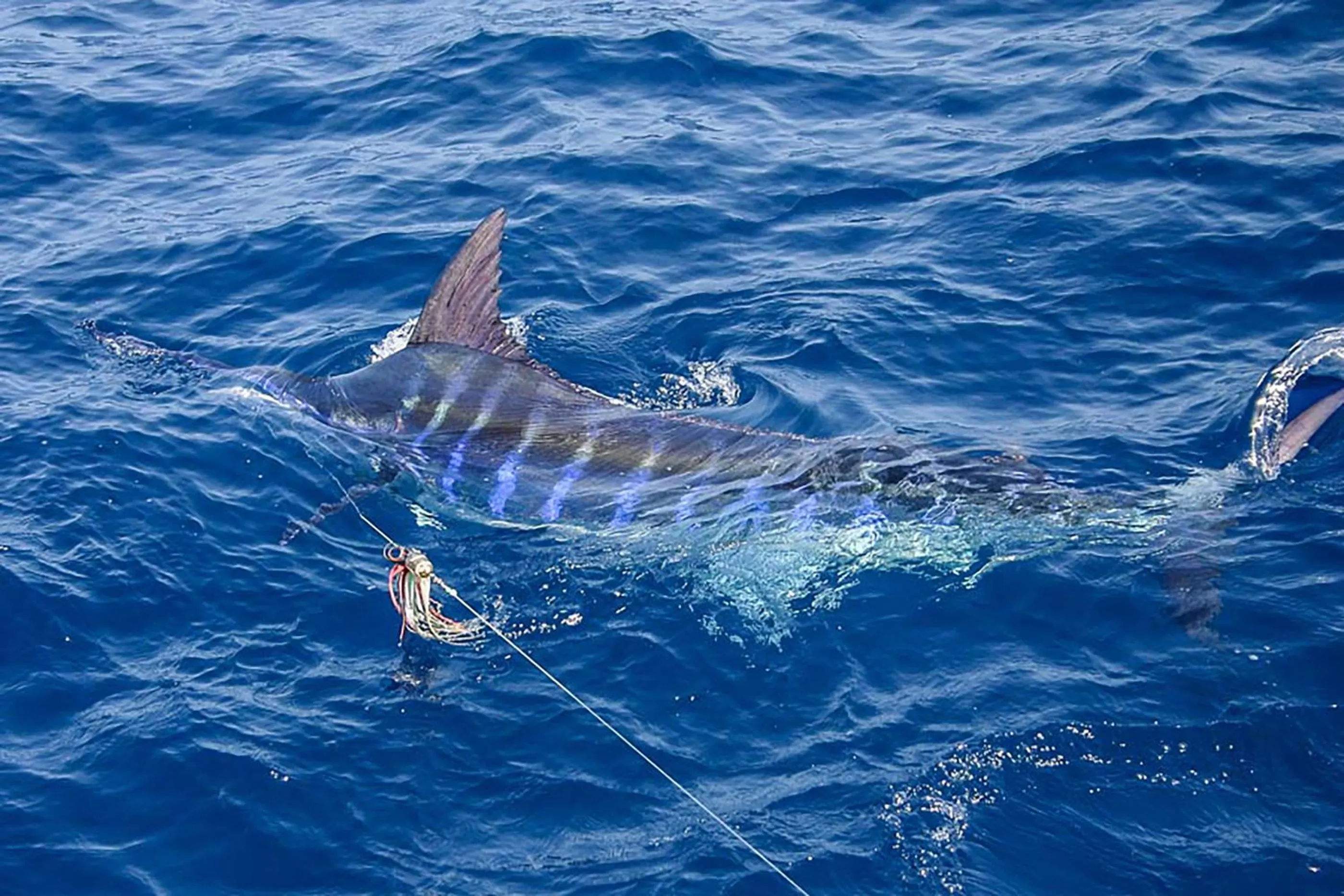 Fishing in Casa Valeria Boutique Hotel