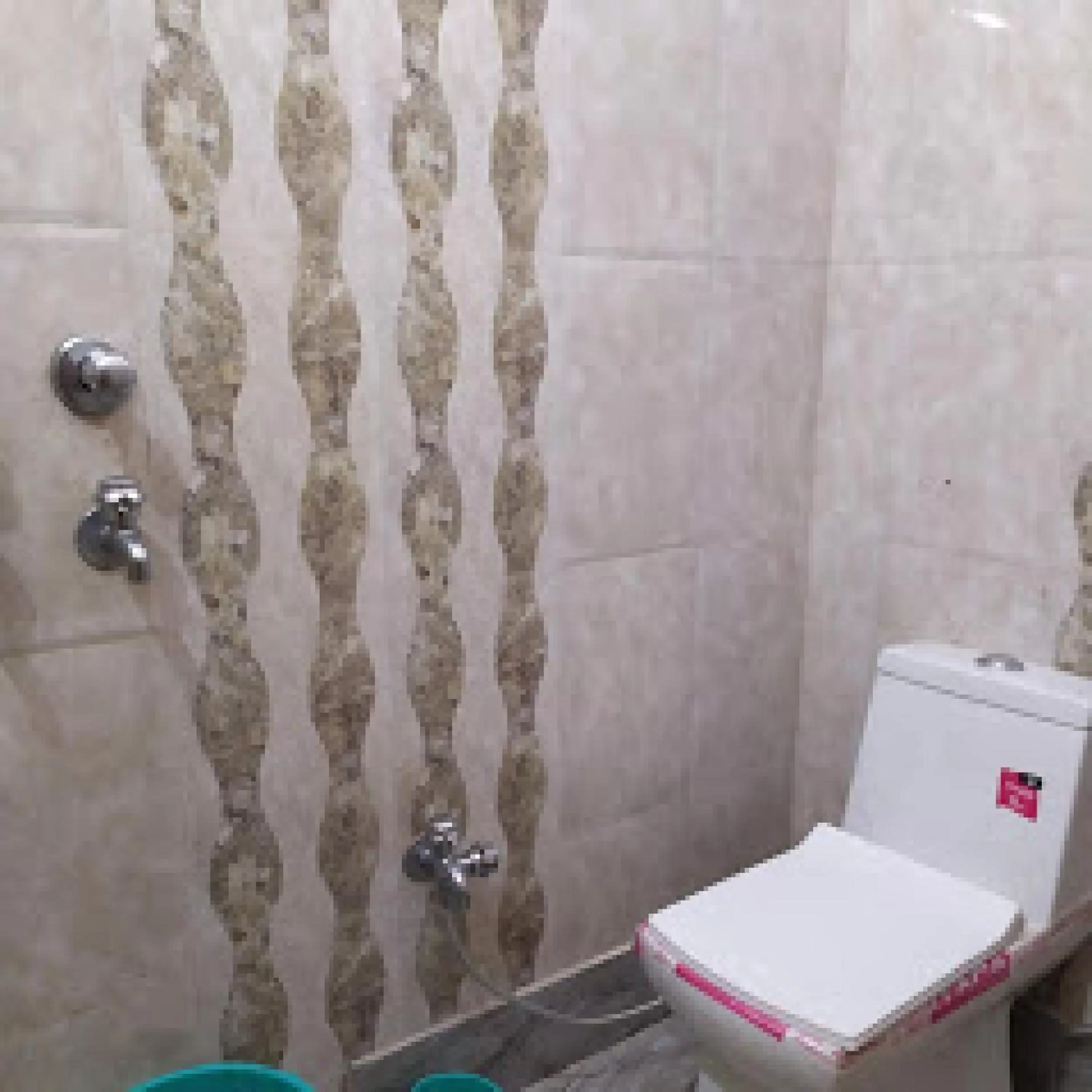 Bathroom in Hotel Aakash Ganga