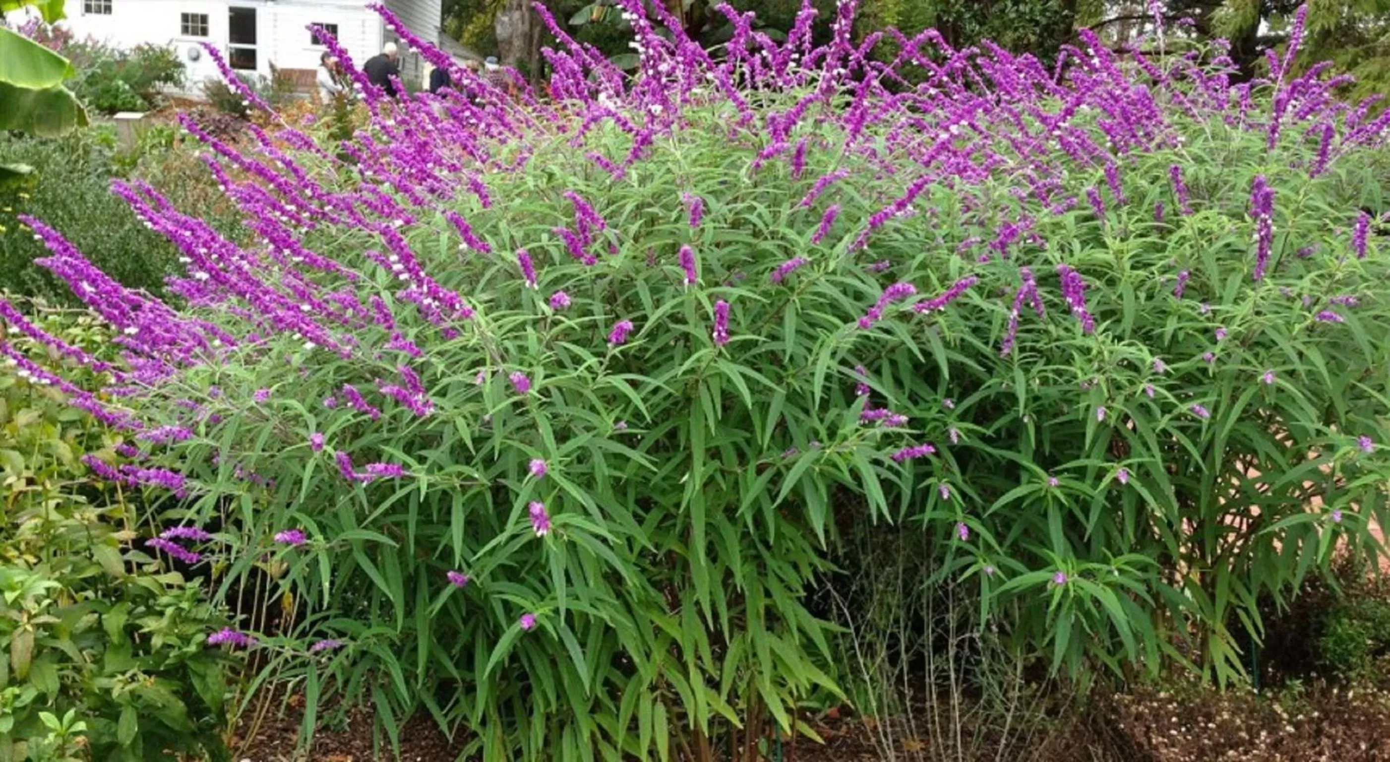 Natural landscape in Village Inn