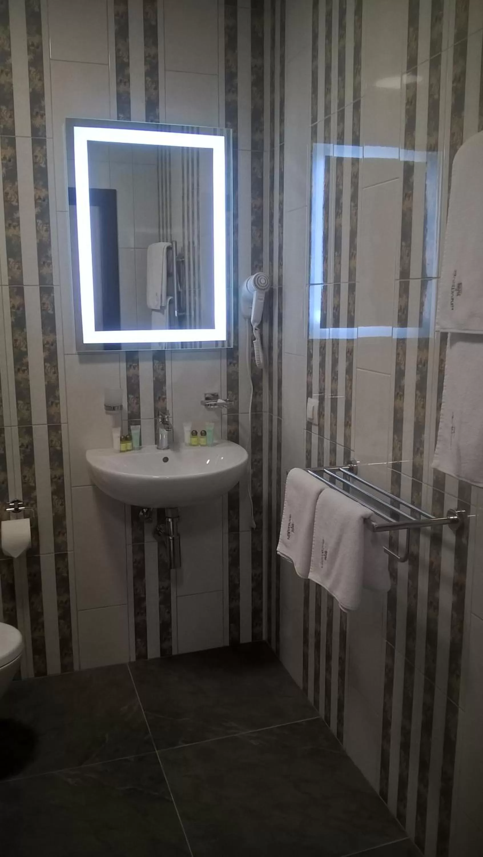 Toilet in Hotel "Mandarin Clubhouse"