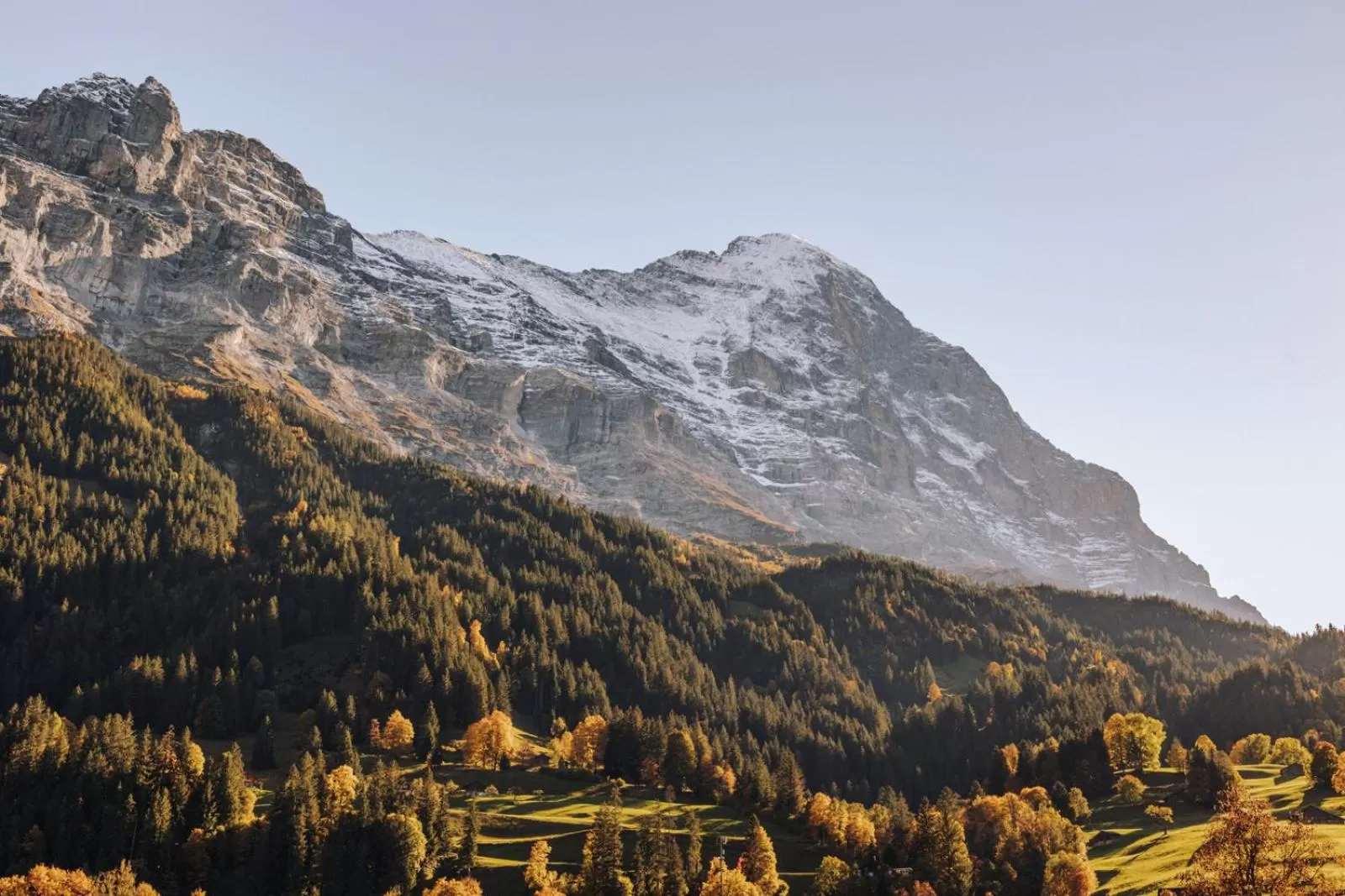 View (from property/room) in Hotel Fiescherblick