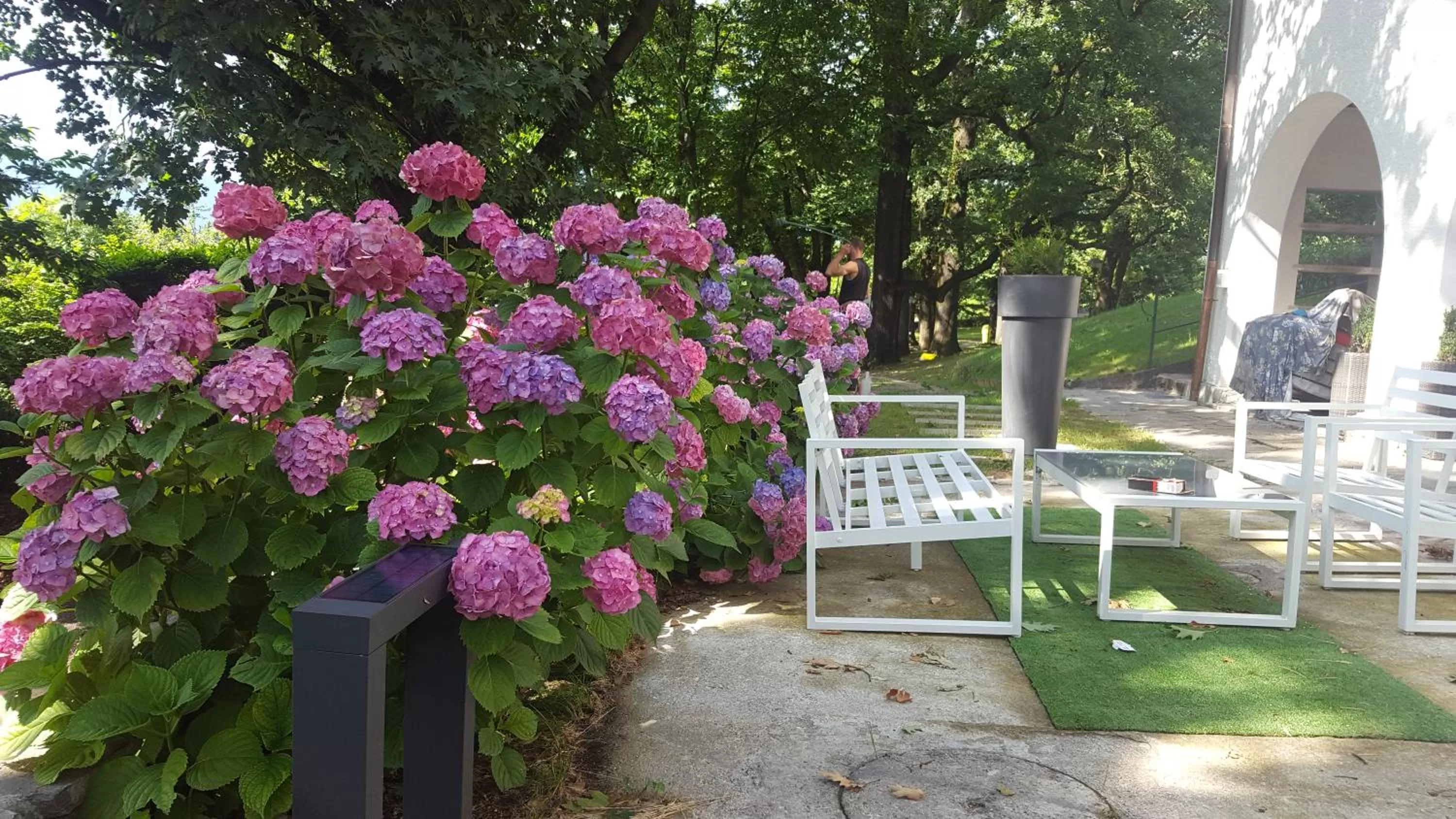Garden view in "La Selvetta" bed and breakfast