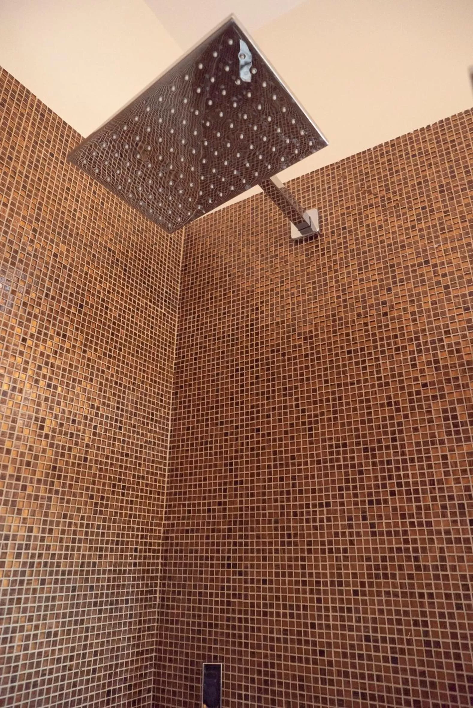 Shower in Belvedere Sea Suite