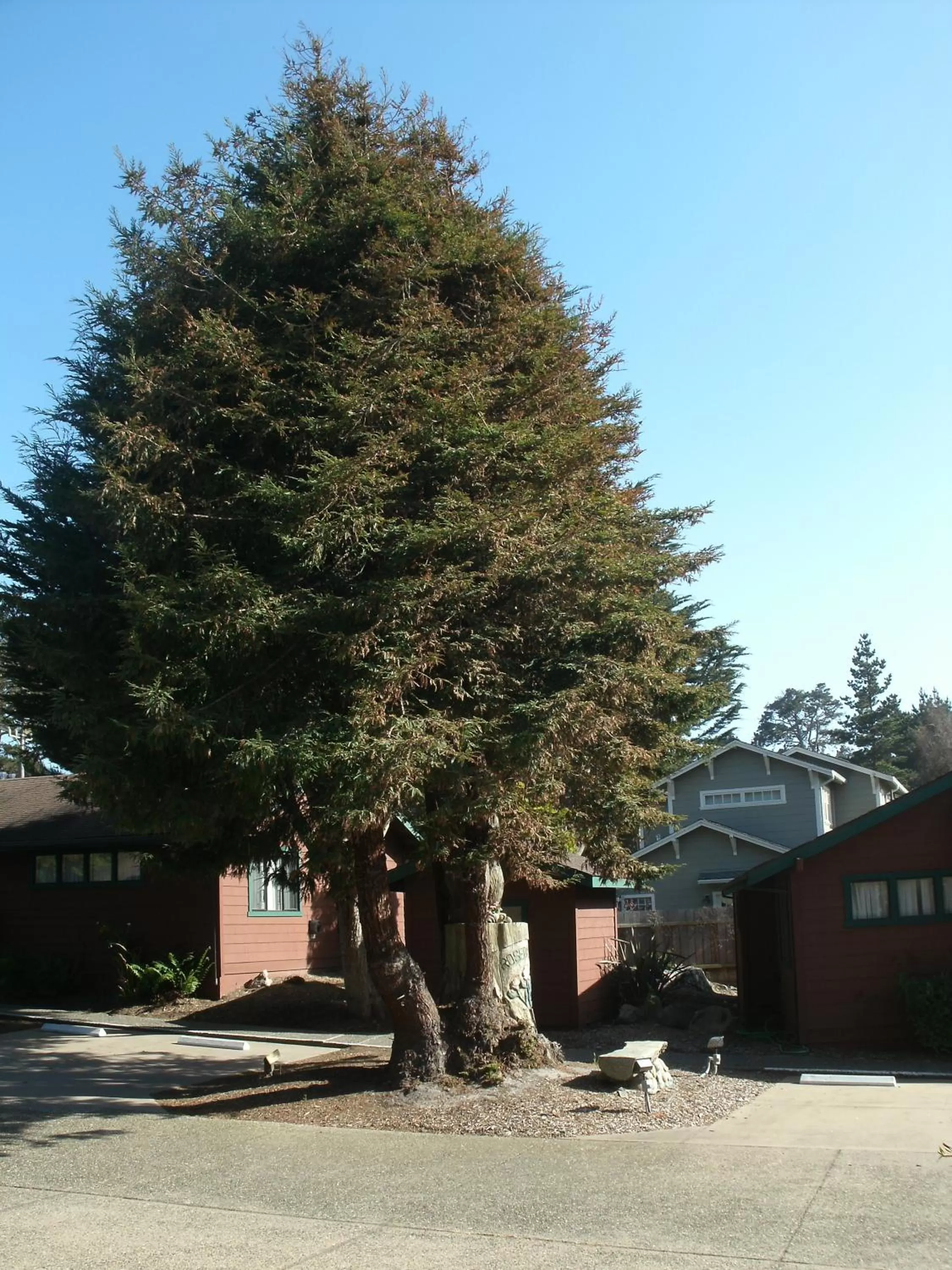 Area and facilities in Rosedale Inn