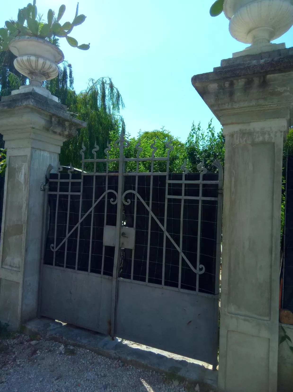 Garden in Villa Fiorita