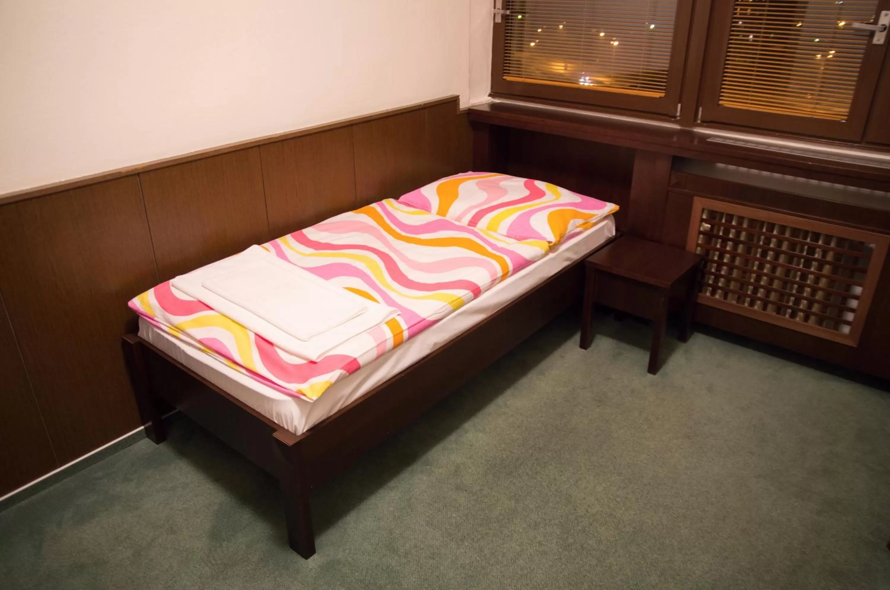 Single Room - single occupancy in Hotel Bothe