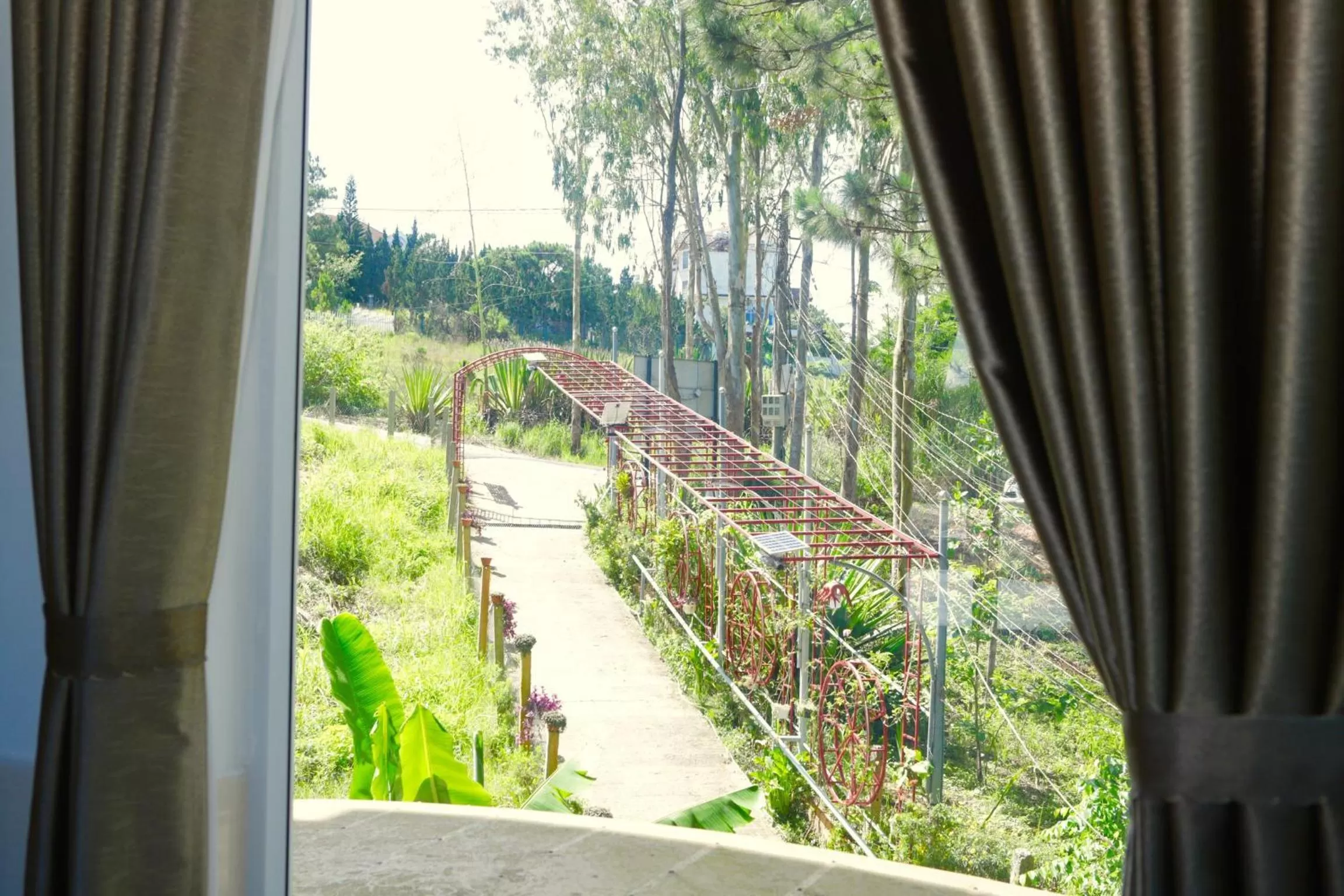 Garden view in Starview Villa Dalat