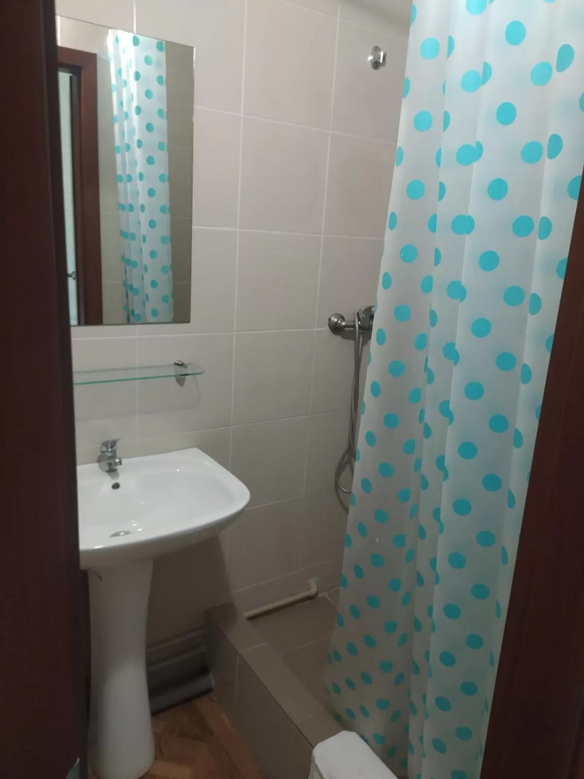 Bathroom in Zelenyi Kampus