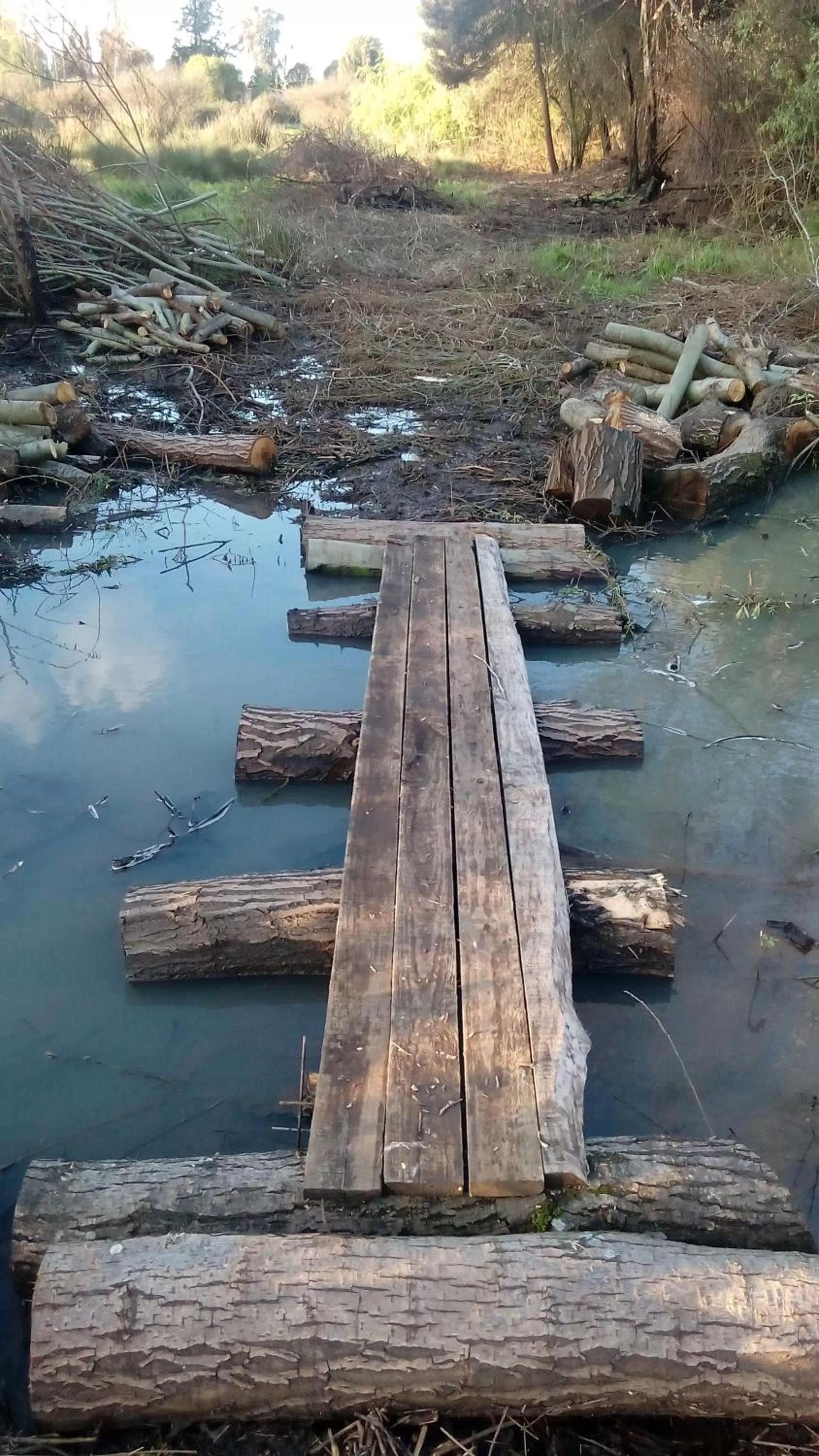 Hiking in La Casa de Adobe Natural y Más