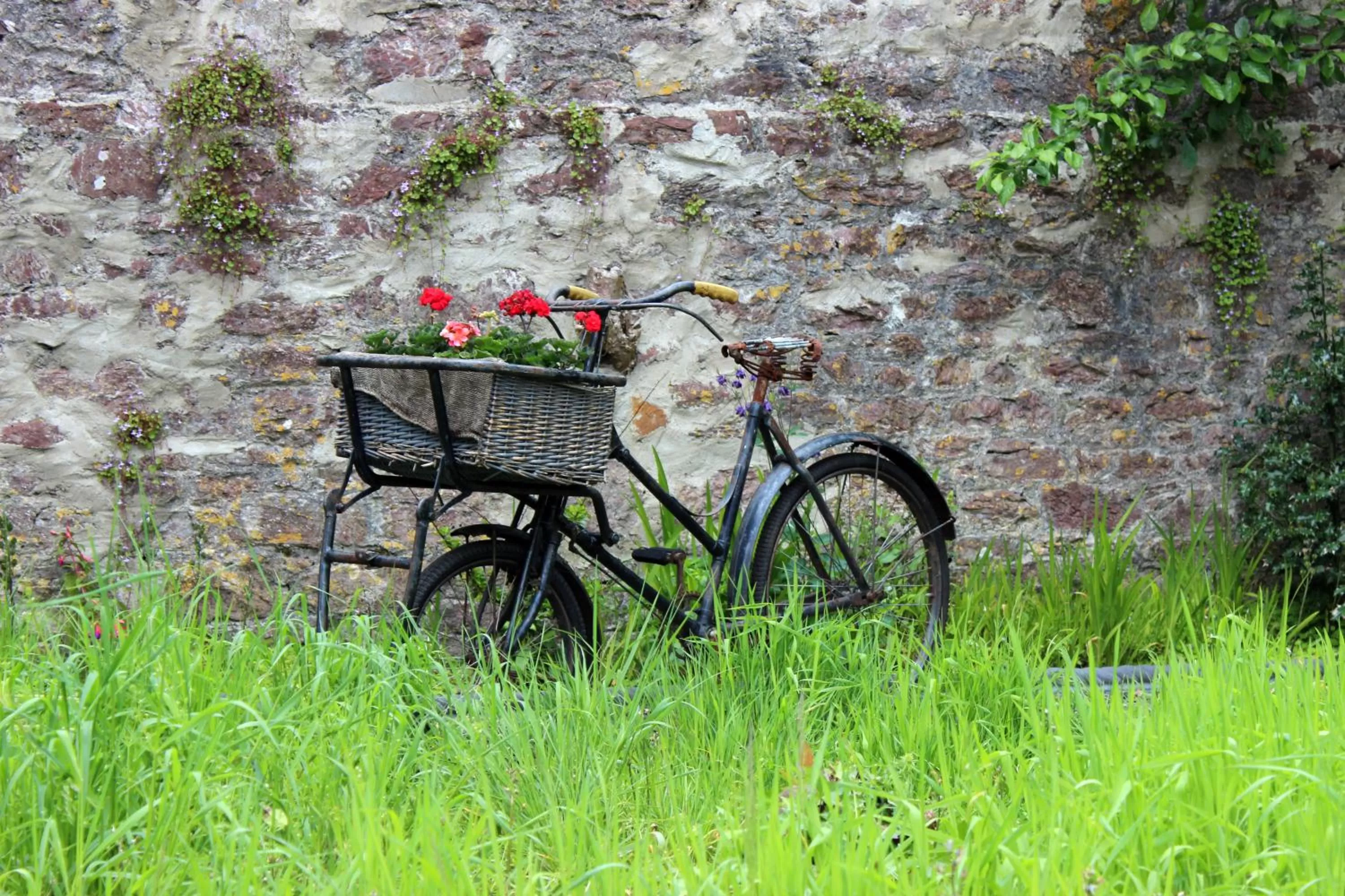 Garden in St Katharine's House