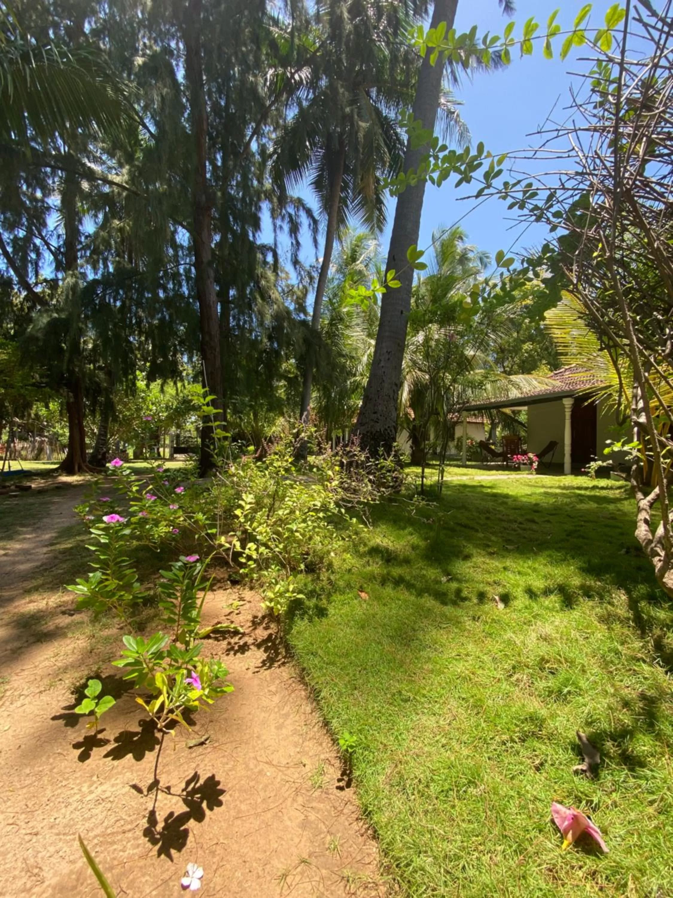 Garden view, Garden in 108 Palms Beach Resort