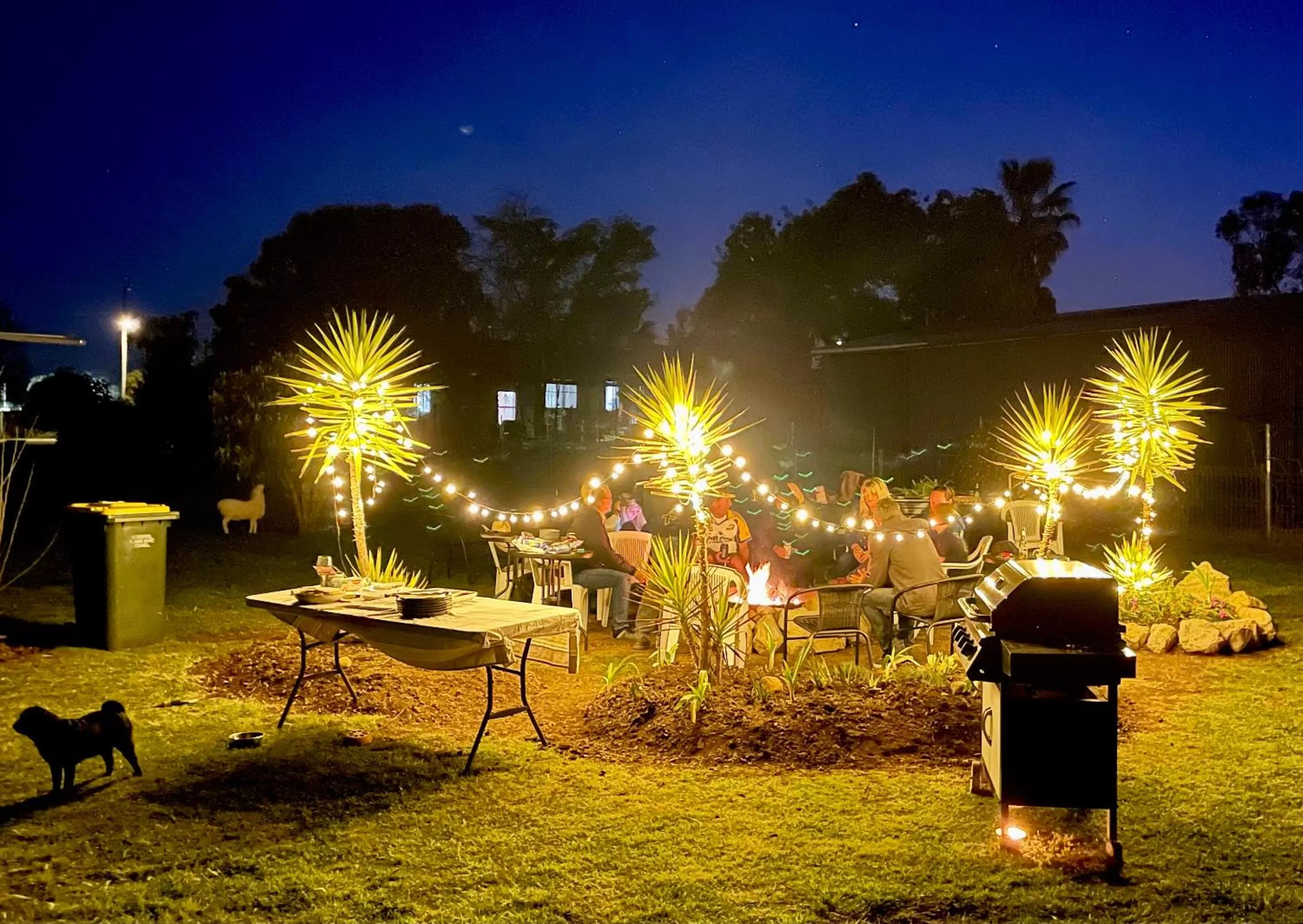Evening entertainment in Quirindi Sunflower Motor Inn