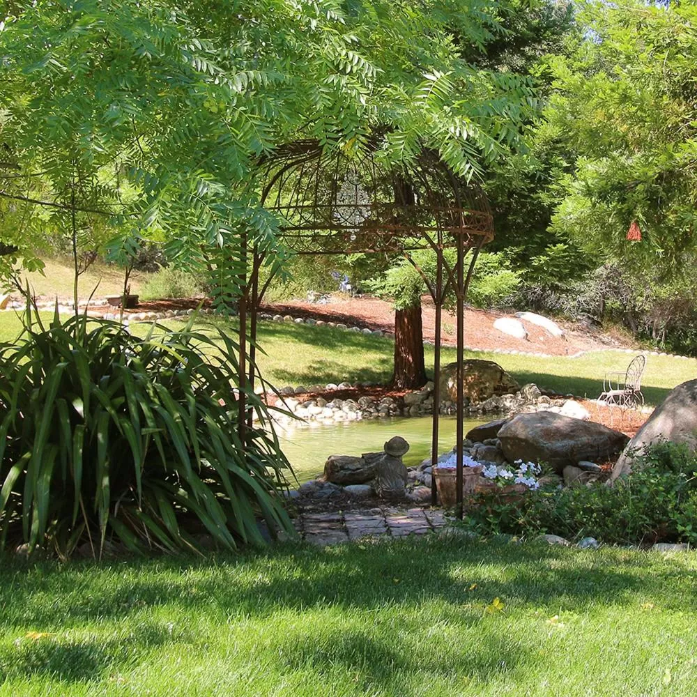 Garden in Bella Vista Bed and Breakfast