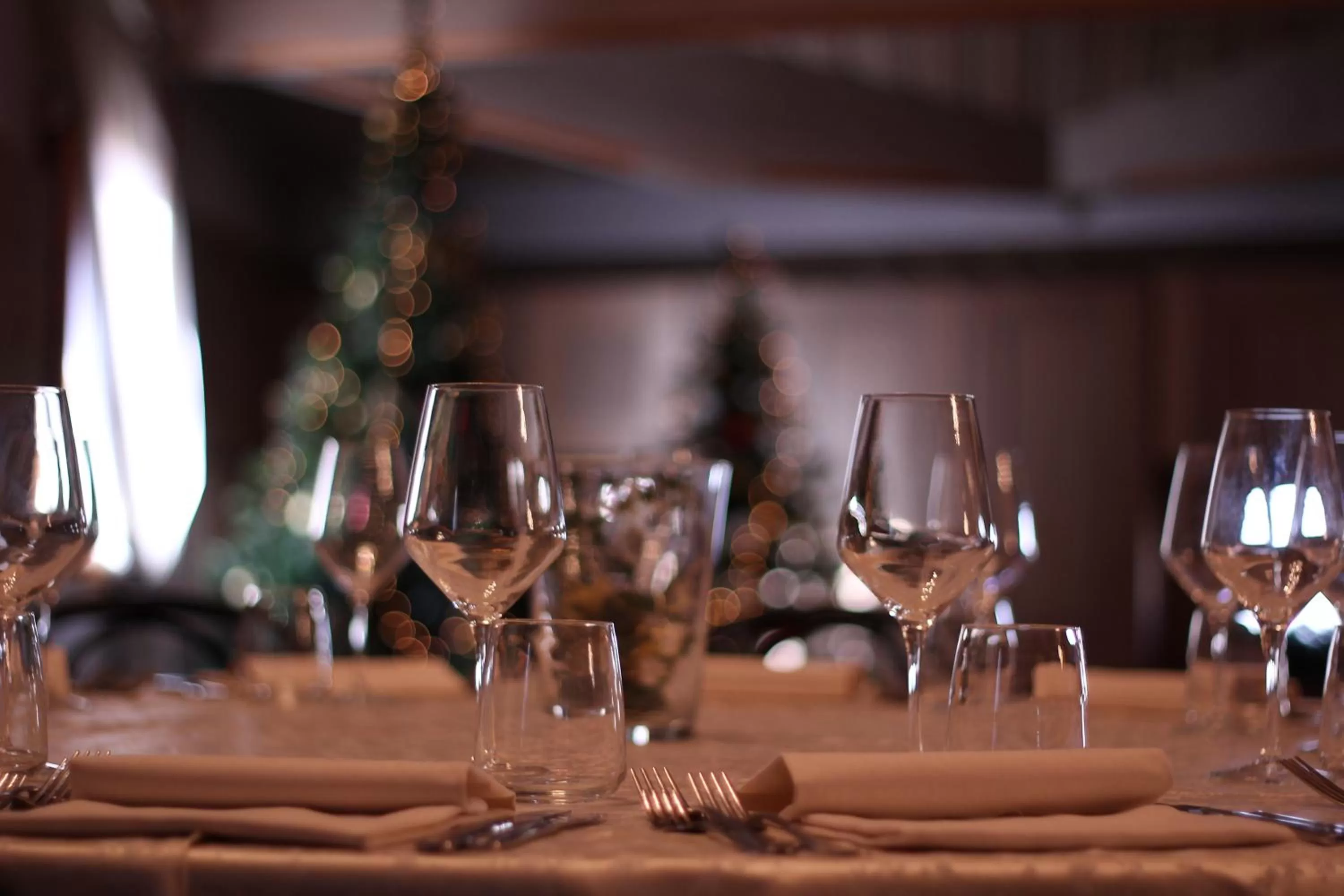 Business facilities in Albergo Cappello