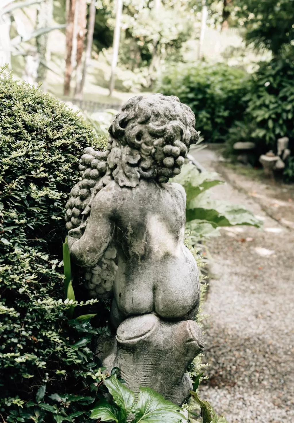 Natural landscape in Relais Villa Porta