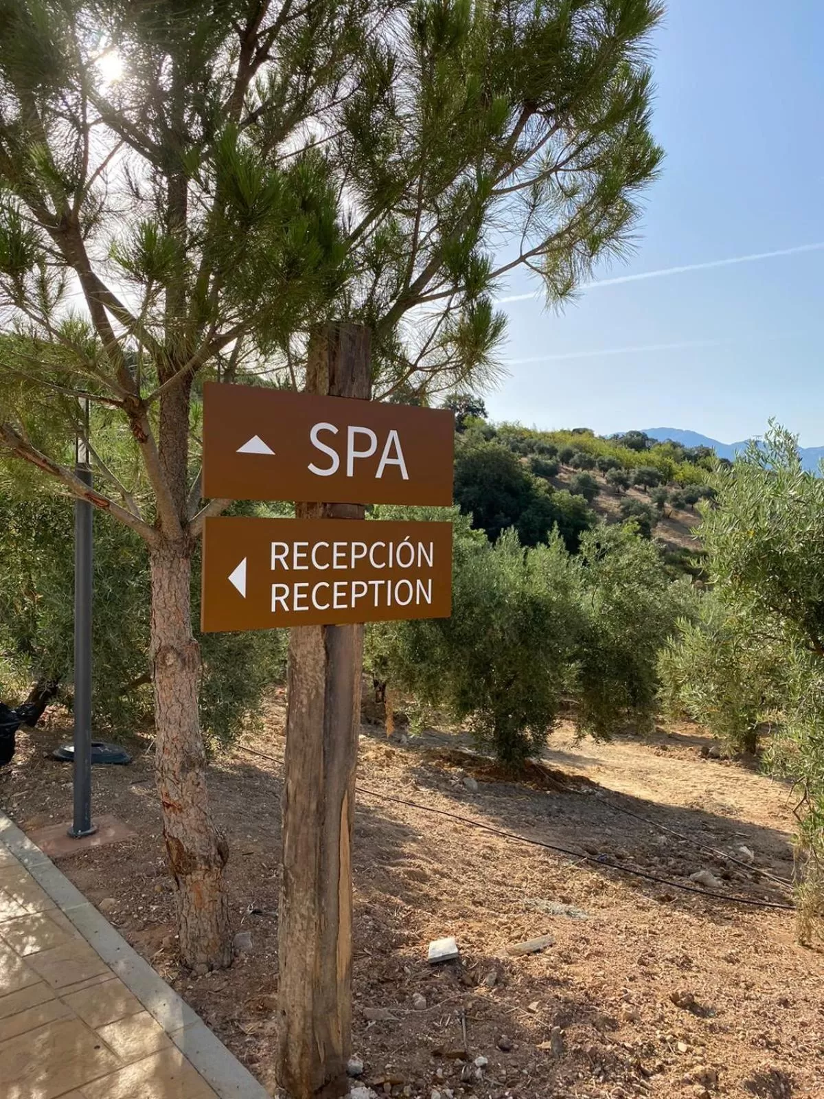 Off site in Hacienda Fresneda María by Real Spain Hotels Adults Recommended