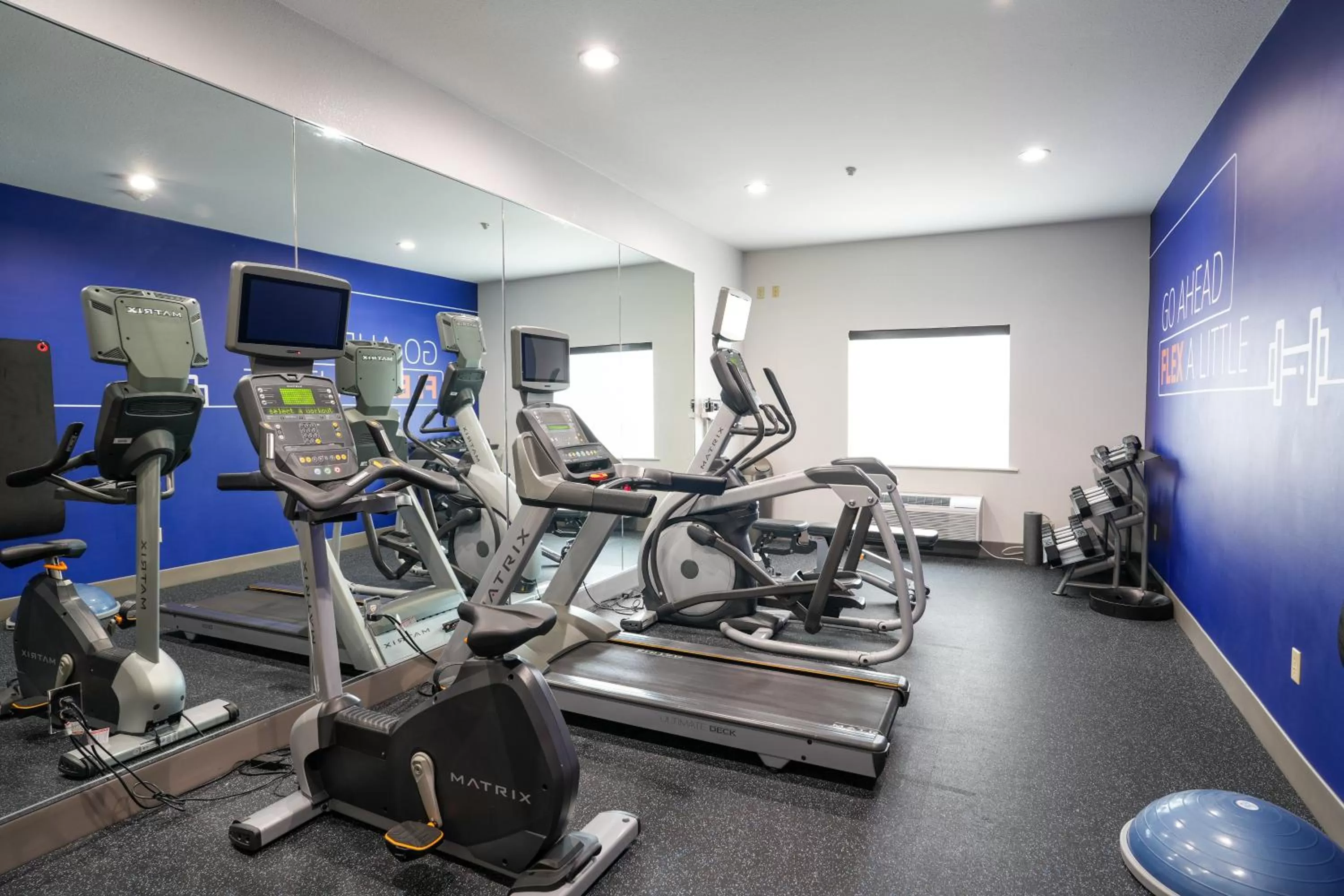 Fitness centre/facilities in Holiday Inn Express Hotel & Suites Cedar Hill by IHG