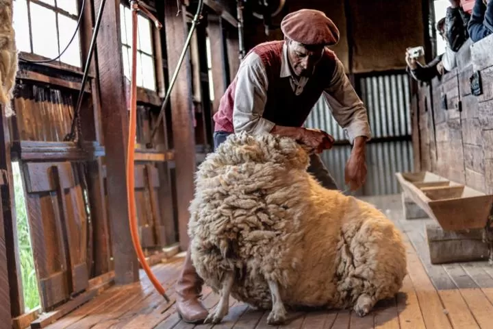 Hostería El Galpón Del Glaciar