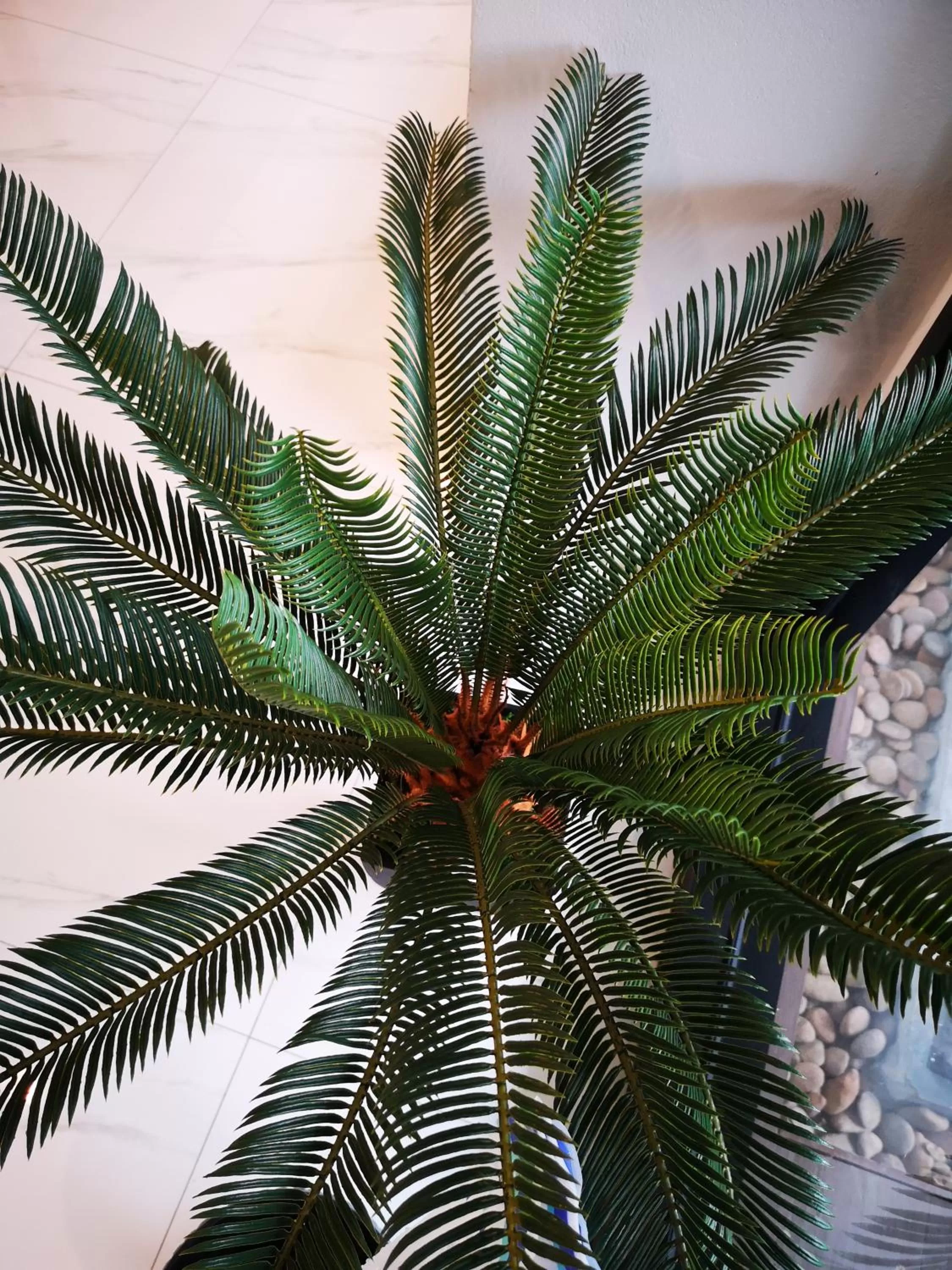 Get GuestHouse 2 ( Sangsri soi 4)