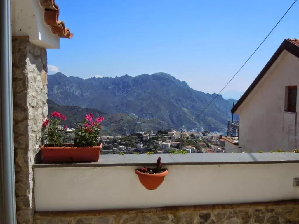 City view in B&B Oliva